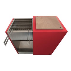 Outdoor Charcoal Barbecue with Sliding Grills, Snail Mono Vision Red