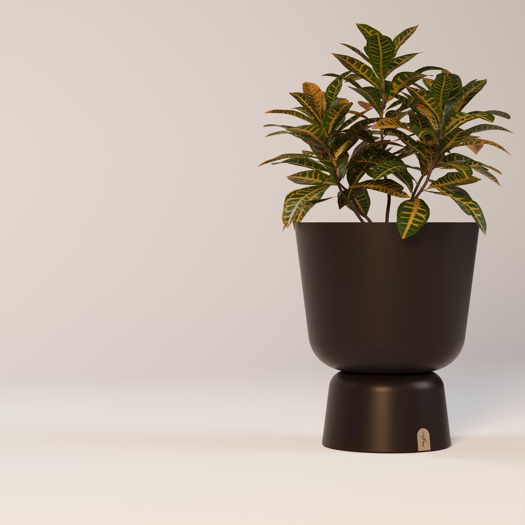Fioriera Eden 

Questa splendida fioriera è perfetta per esporre le tue piante preferite e aggiungerà un tocco di eleganza a qualsiasi spazio.
La fioriera Eden è stata progettata per essere resistente ed elegante. La fioriera ha un design elegante e