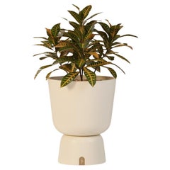 Jardinera moderna para exterior
