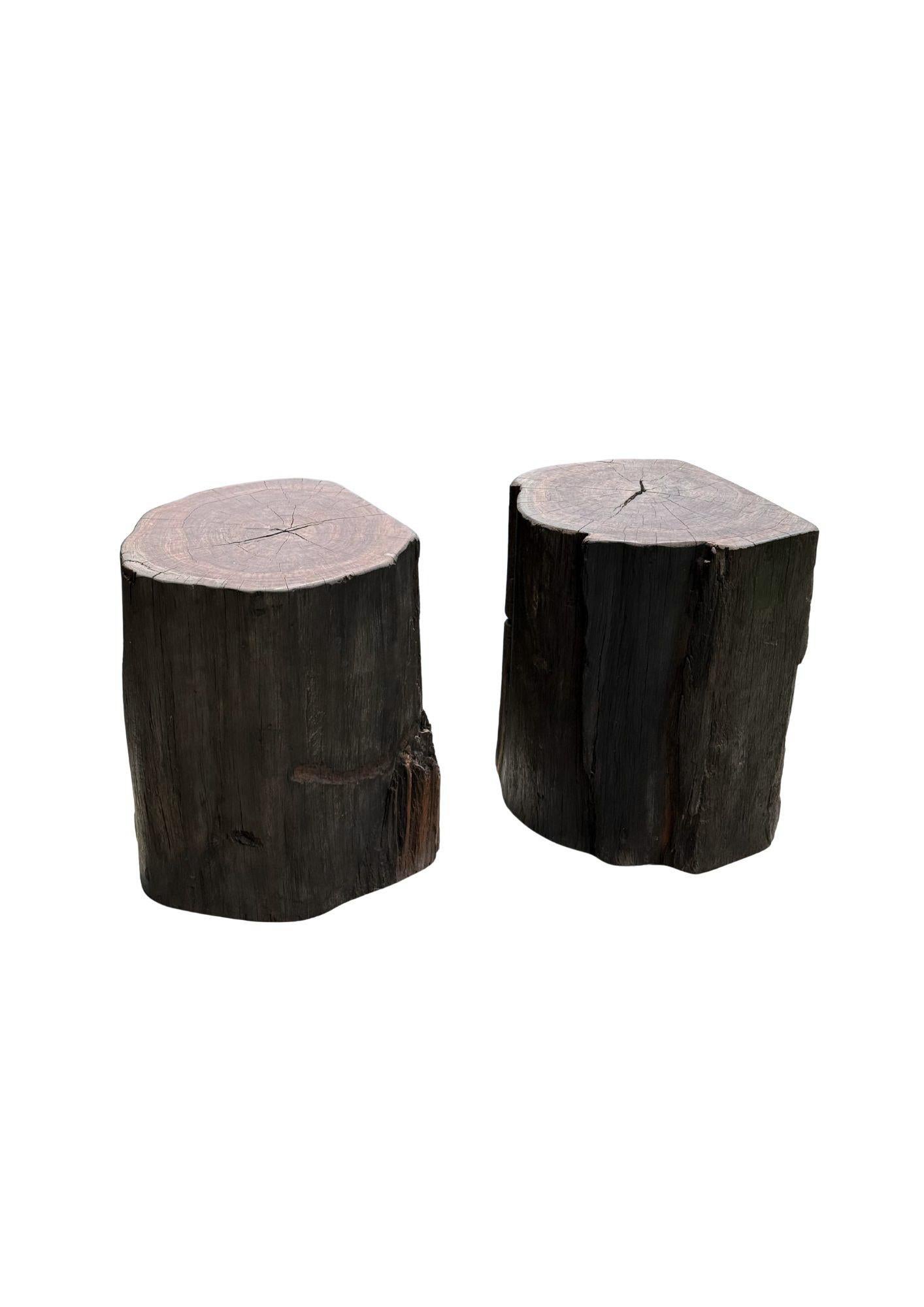 Set di tavolini scultorei da esterno in legno di ulivo, moderno e organico in vendita 1