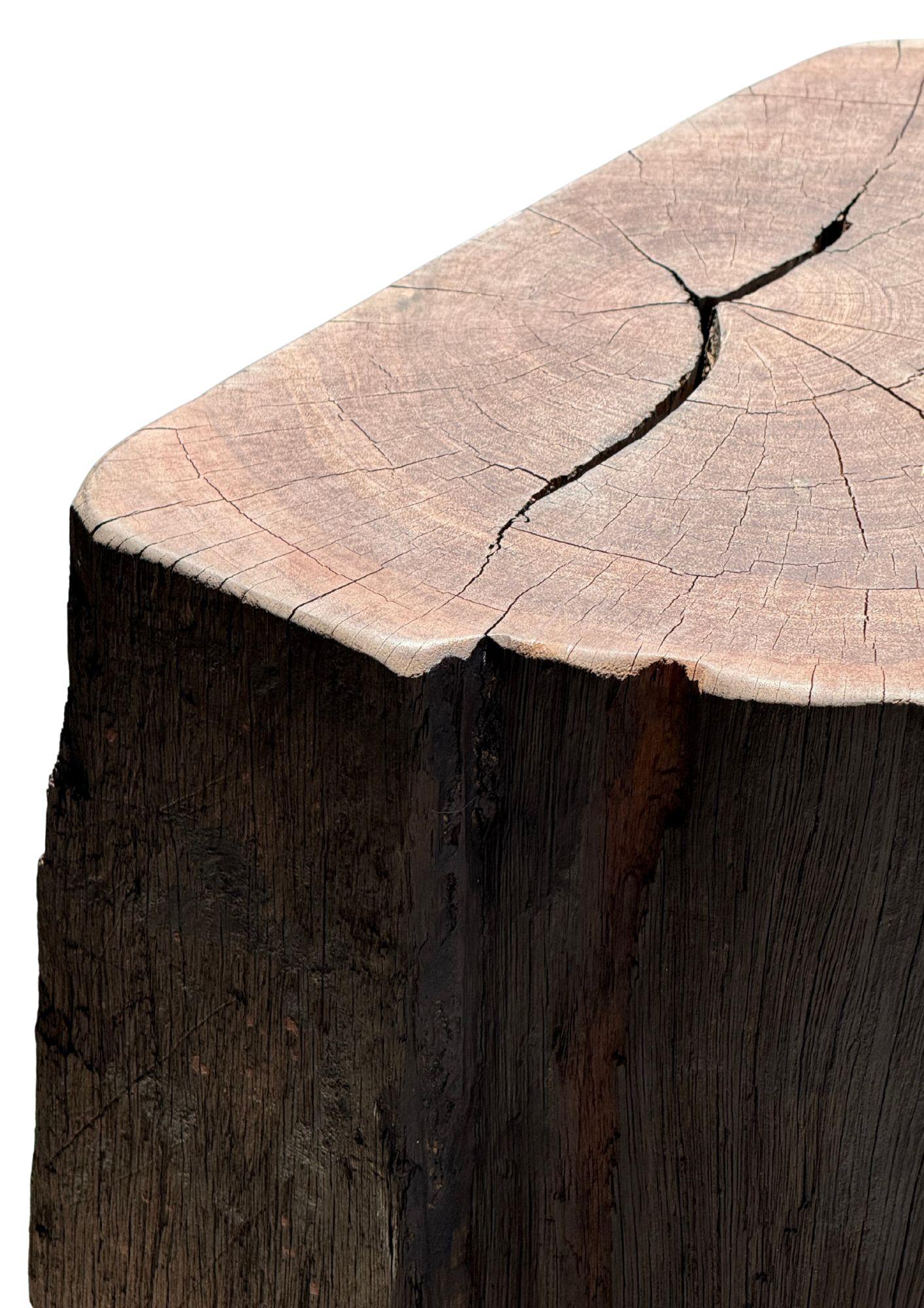 Outdoor Sculptural Side Table Set Crafted from Ulin Iron Wood, Modern Organic For Sale 2