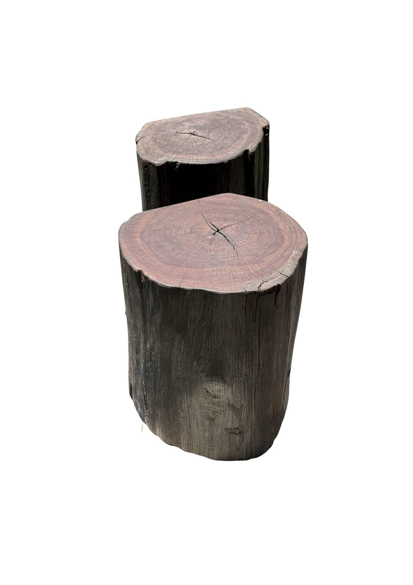 Set di tavolini scultorei da esterno in legno di ulivo, moderno e organico in vendita 2