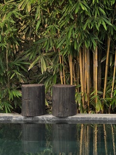 Outdoor Sculptural Side Table Set Crafted from Ulin Iron Wood, Modern Organic