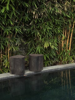 Outdoor Sculptural Side Table Set Crafted from Ulin Iron Wood, Modern Organic