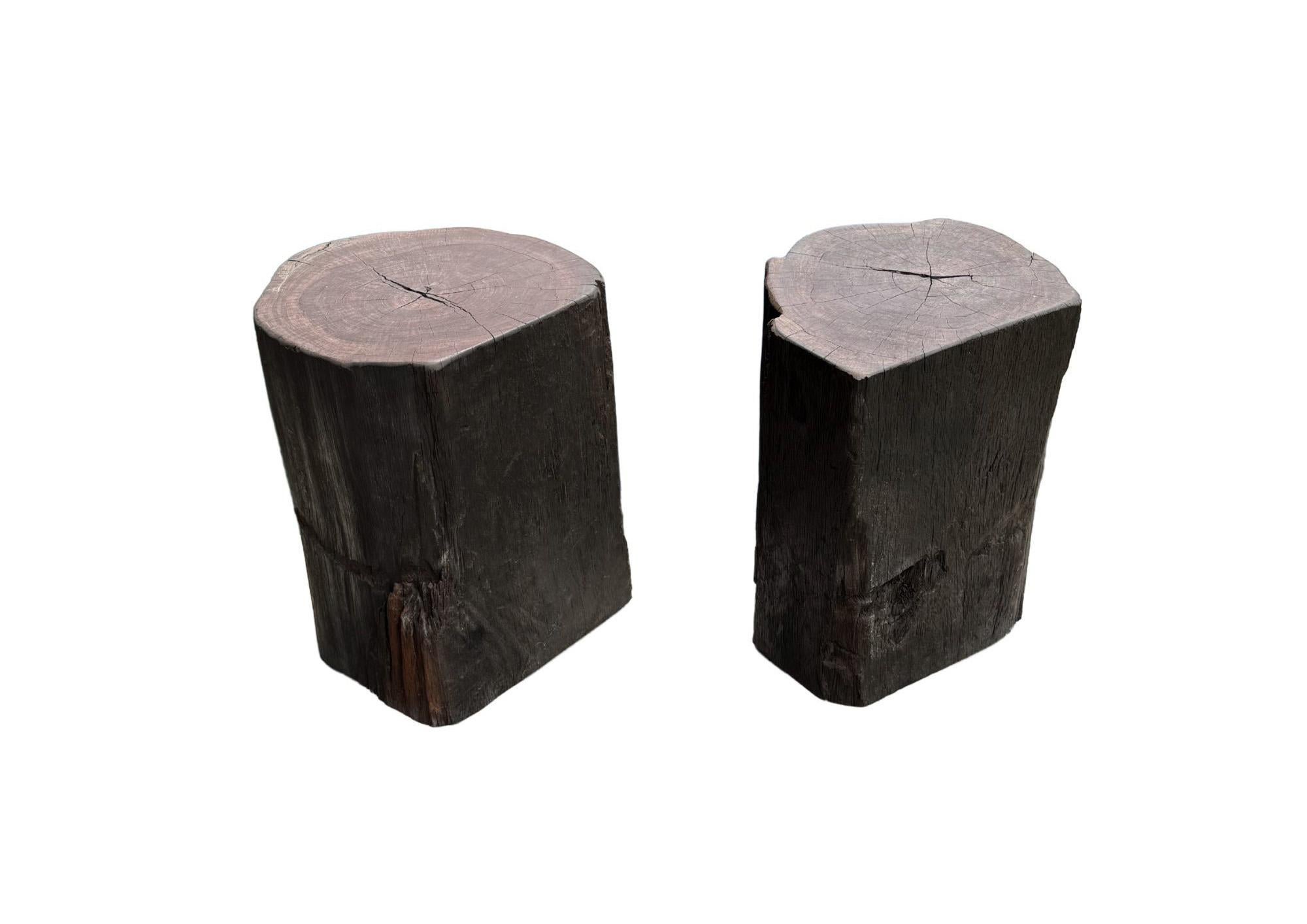 Organico moderno Set di tavolini scultorei da esterno in legno di ulivo, moderno e organico in vendita