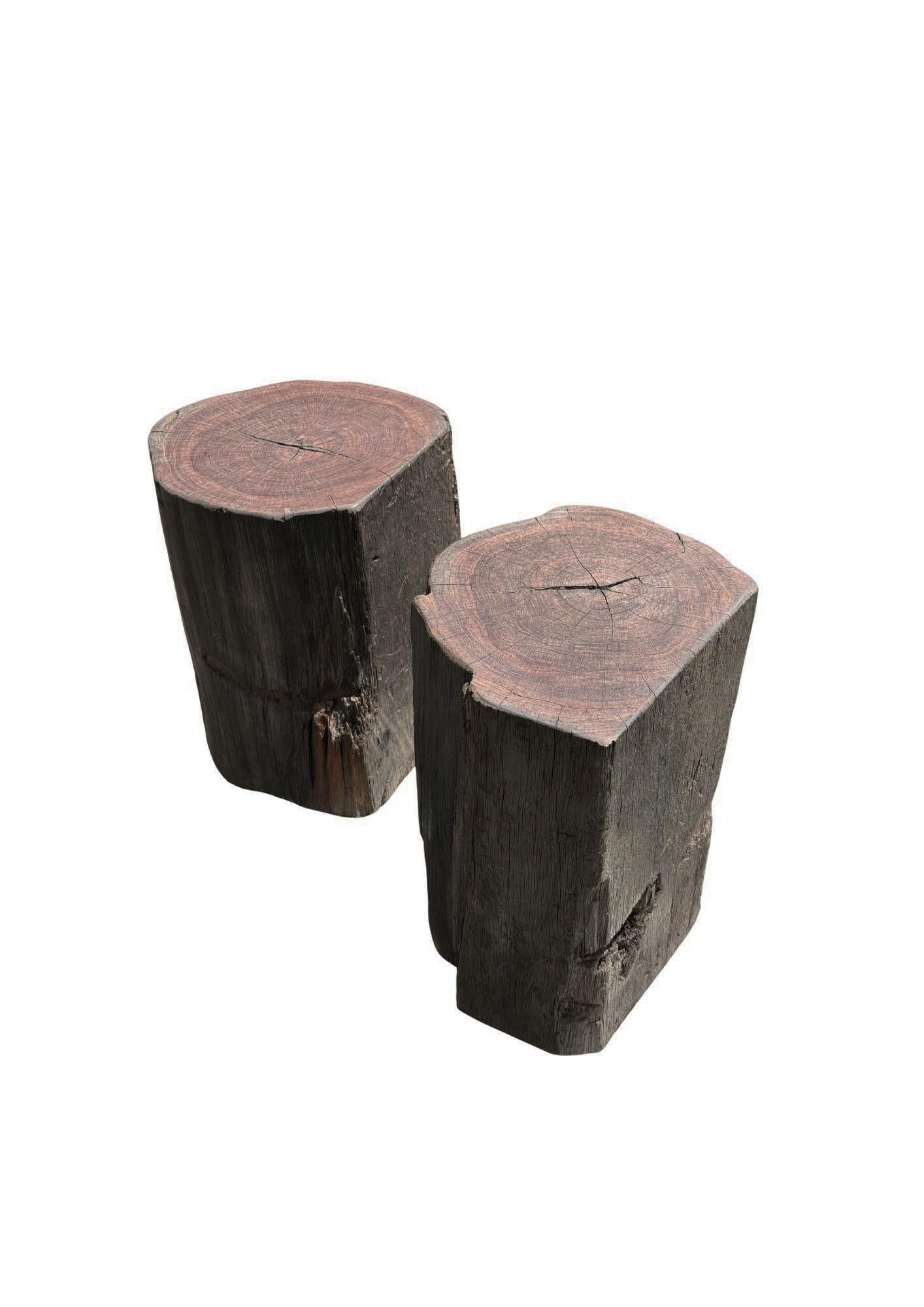 Indonesiano Set di tavolini scultorei da esterno in legno di ulivo, moderno e organico in vendita