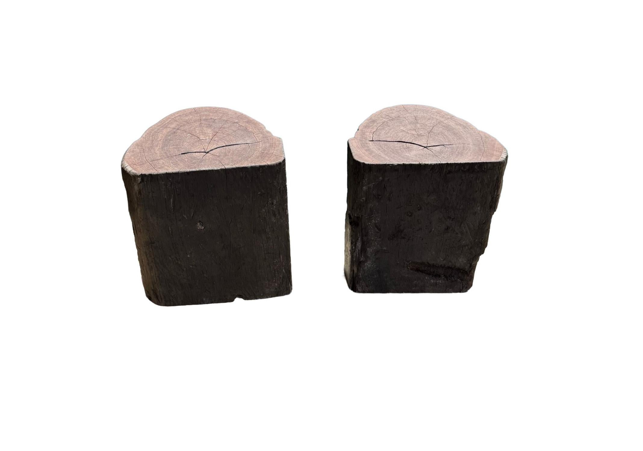 Hand-Crafted Outdoor Sculptural Side Table Set Crafted from Ulin Iron Wood, Modern Organic For Sale