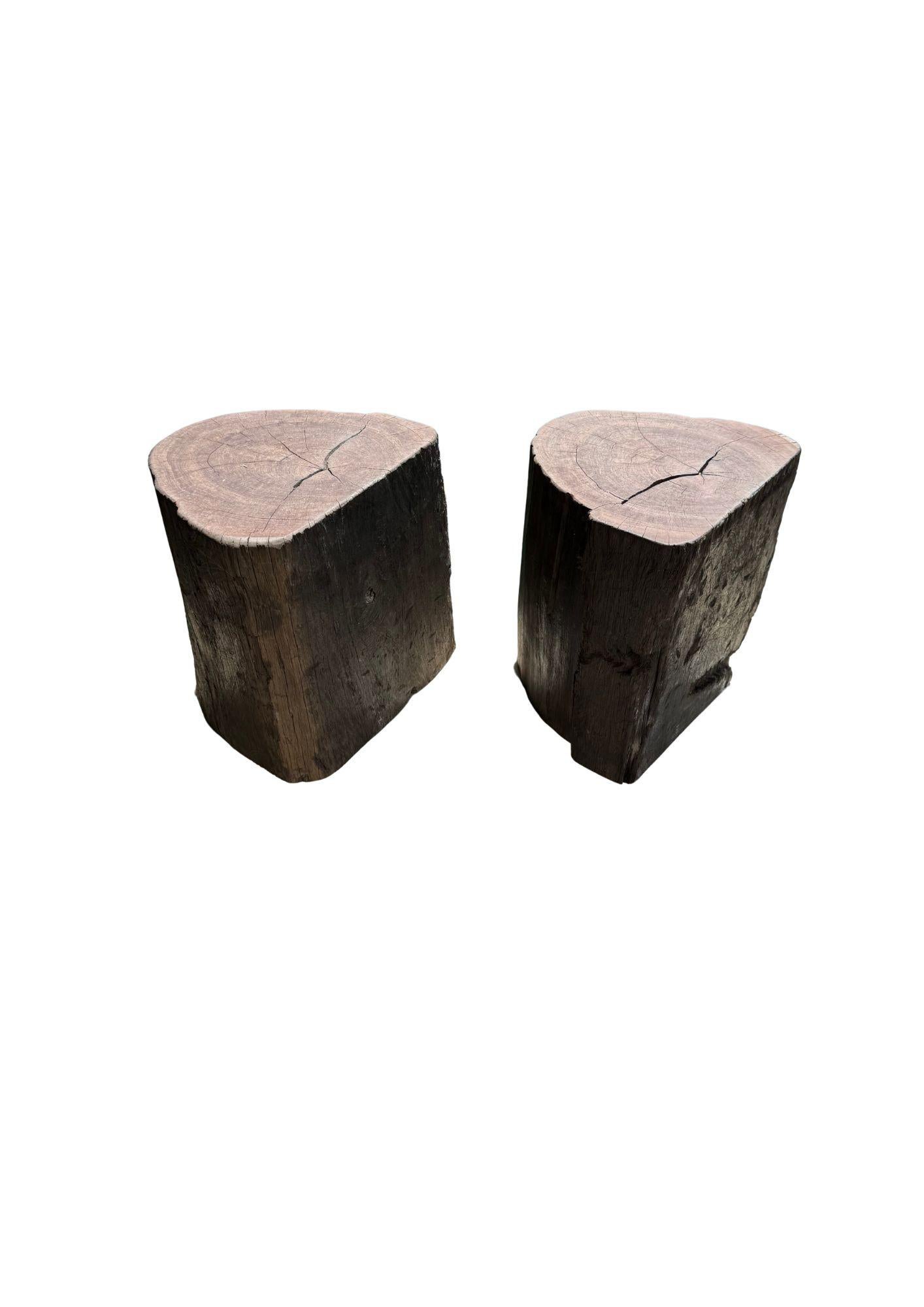 Outdoor Sculptural Side Table Set Crafted from Ulin Iron Wood, Modern Organic In Good Condition For Sale In Jimbaran, Bali