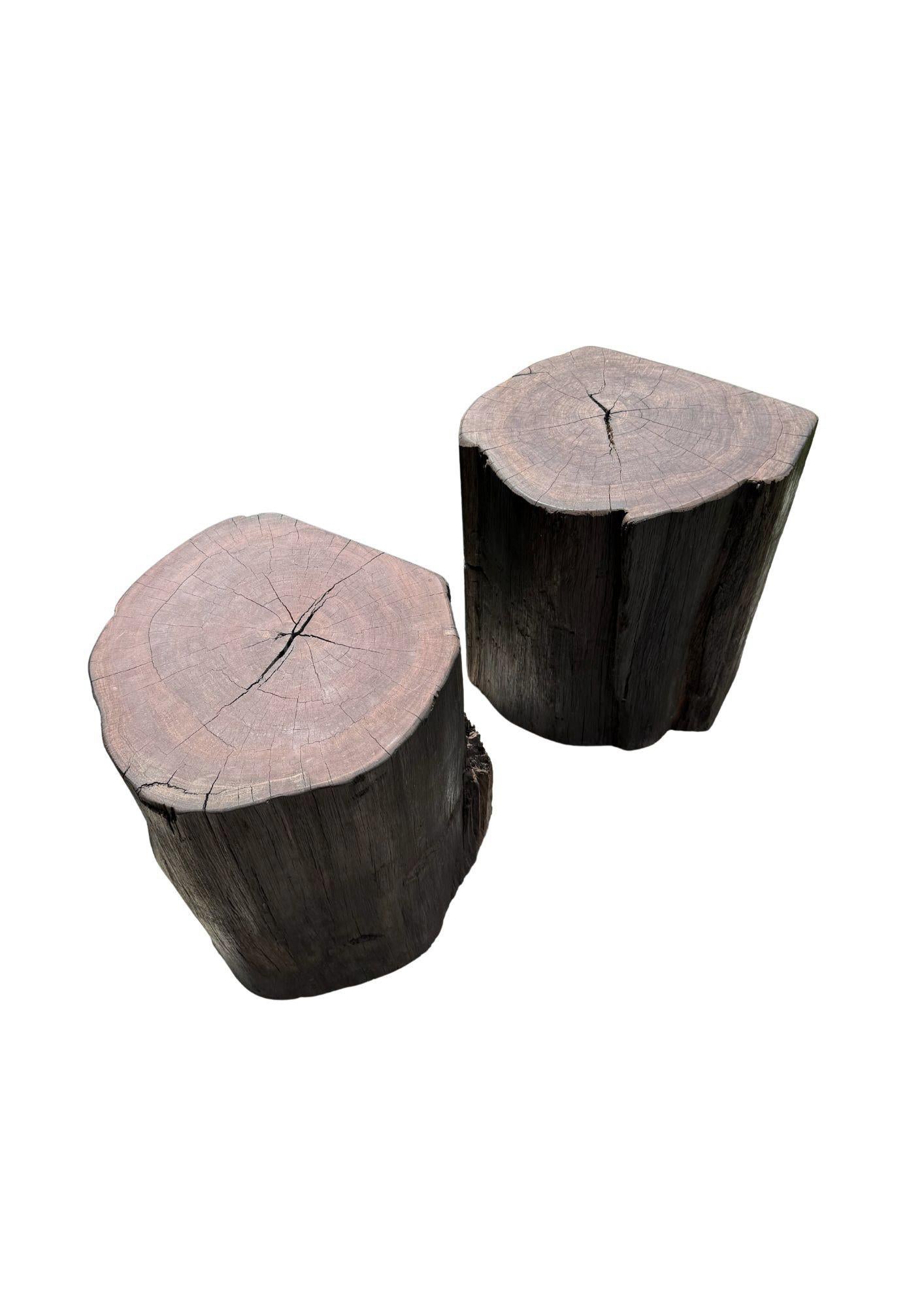 Set di tavolini scultorei da esterno in legno di ulivo, moderno e organico In condizioni buone in vendita a Jimbaran, Bali