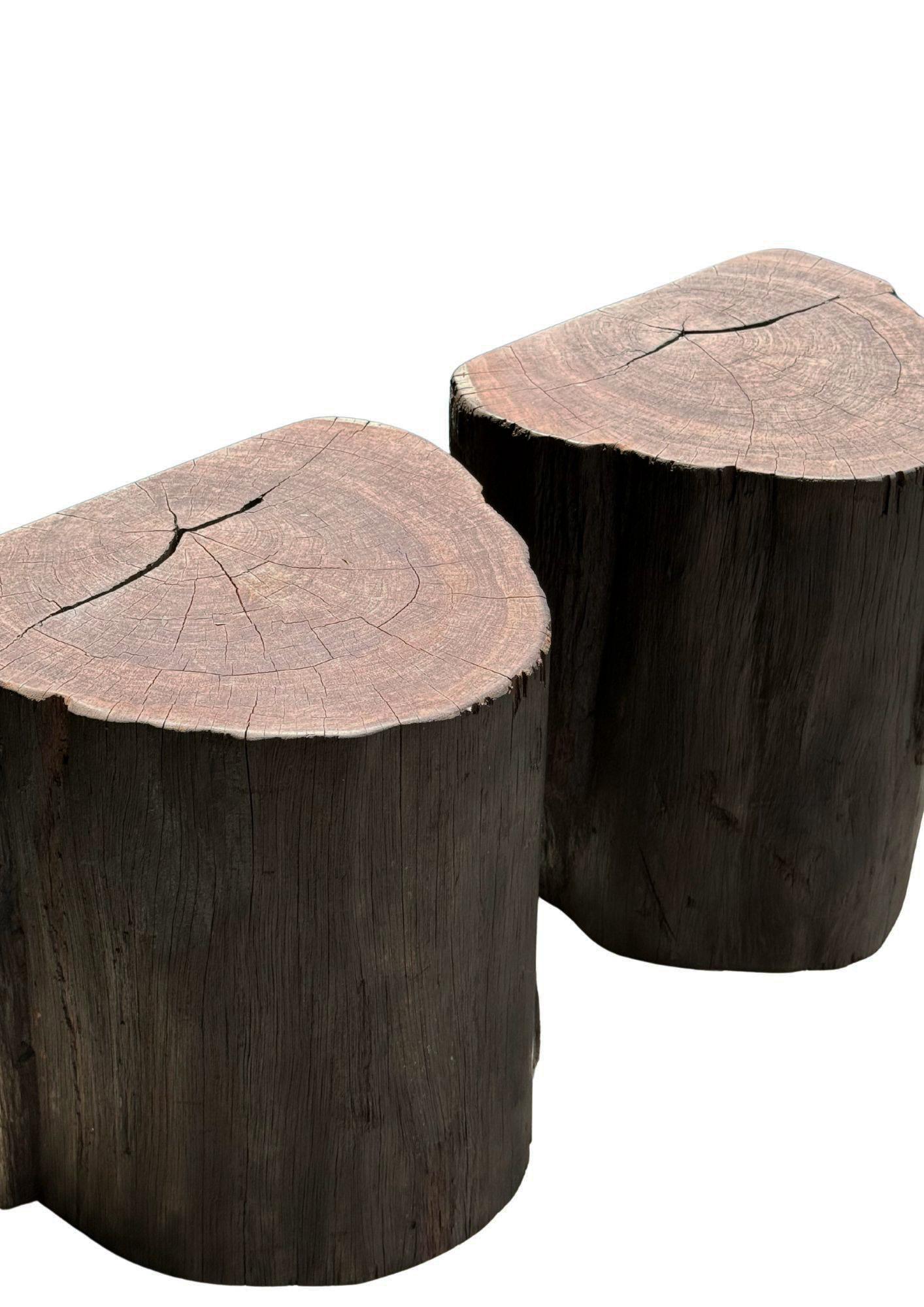 Contemporary Outdoor Sculptural Side Table Set Crafted from Ulin Iron Wood, Modern Organic For Sale