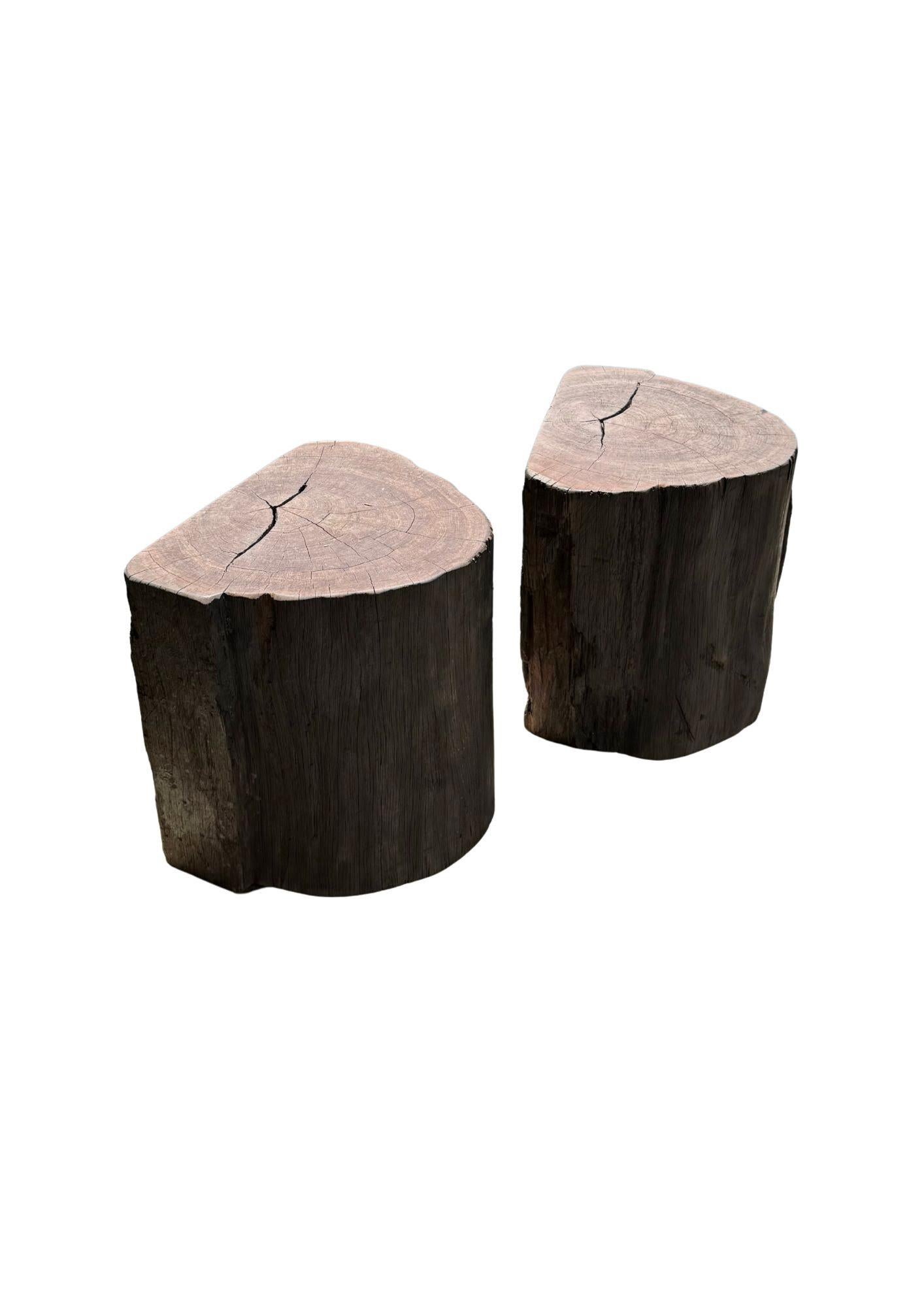 Outdoor Sculptural Side Table Set Crafted from Ulin Iron Wood, Modern Organic For Sale 1
