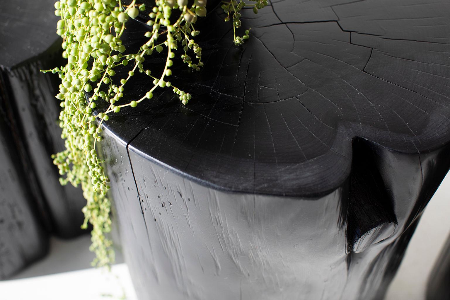Contemporary Outdoor Stump Table - 15