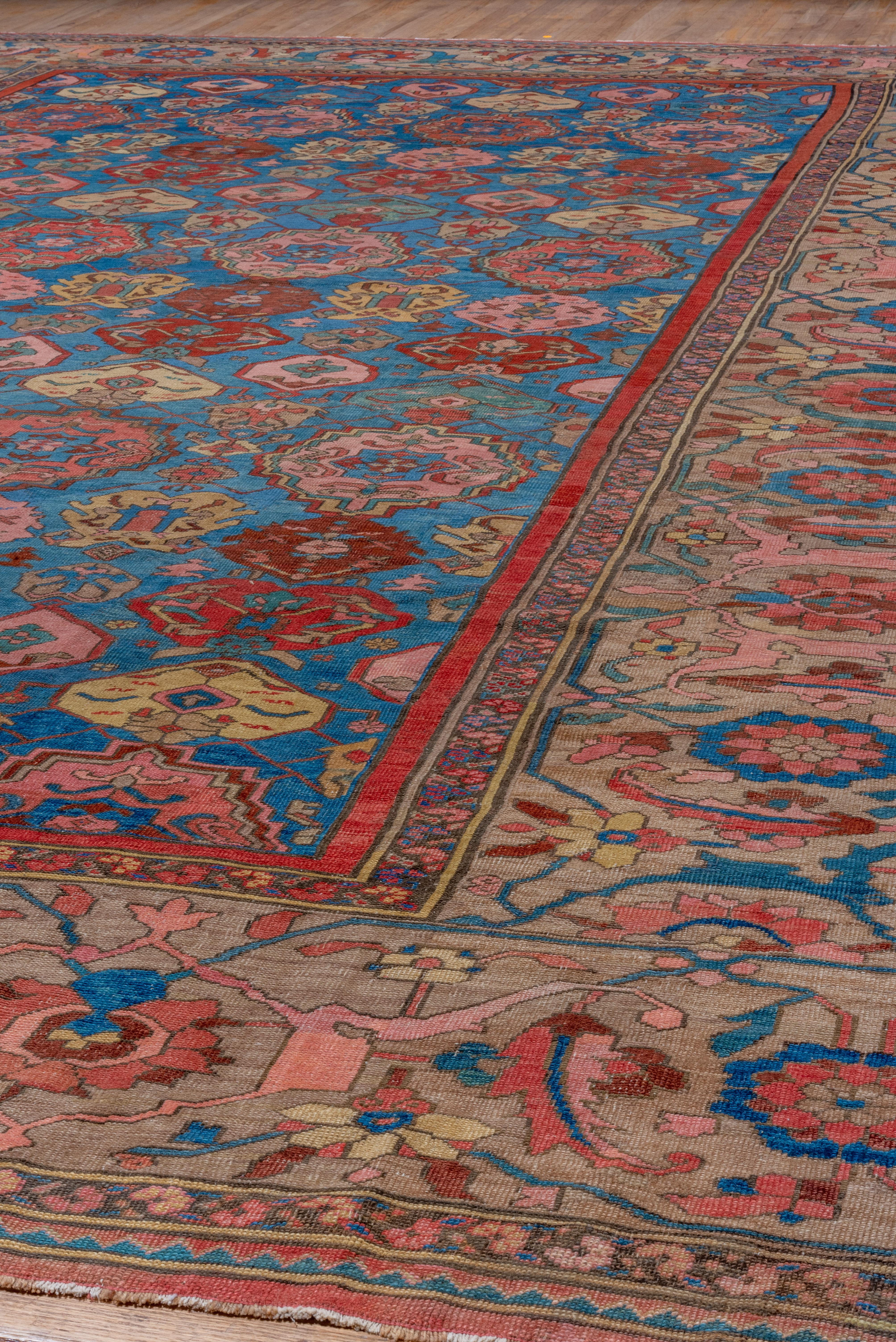 Hand-Knotted Outsanding Colorful Antique Persian Bakhshayesh Carpet, Late 19th Century For Sale