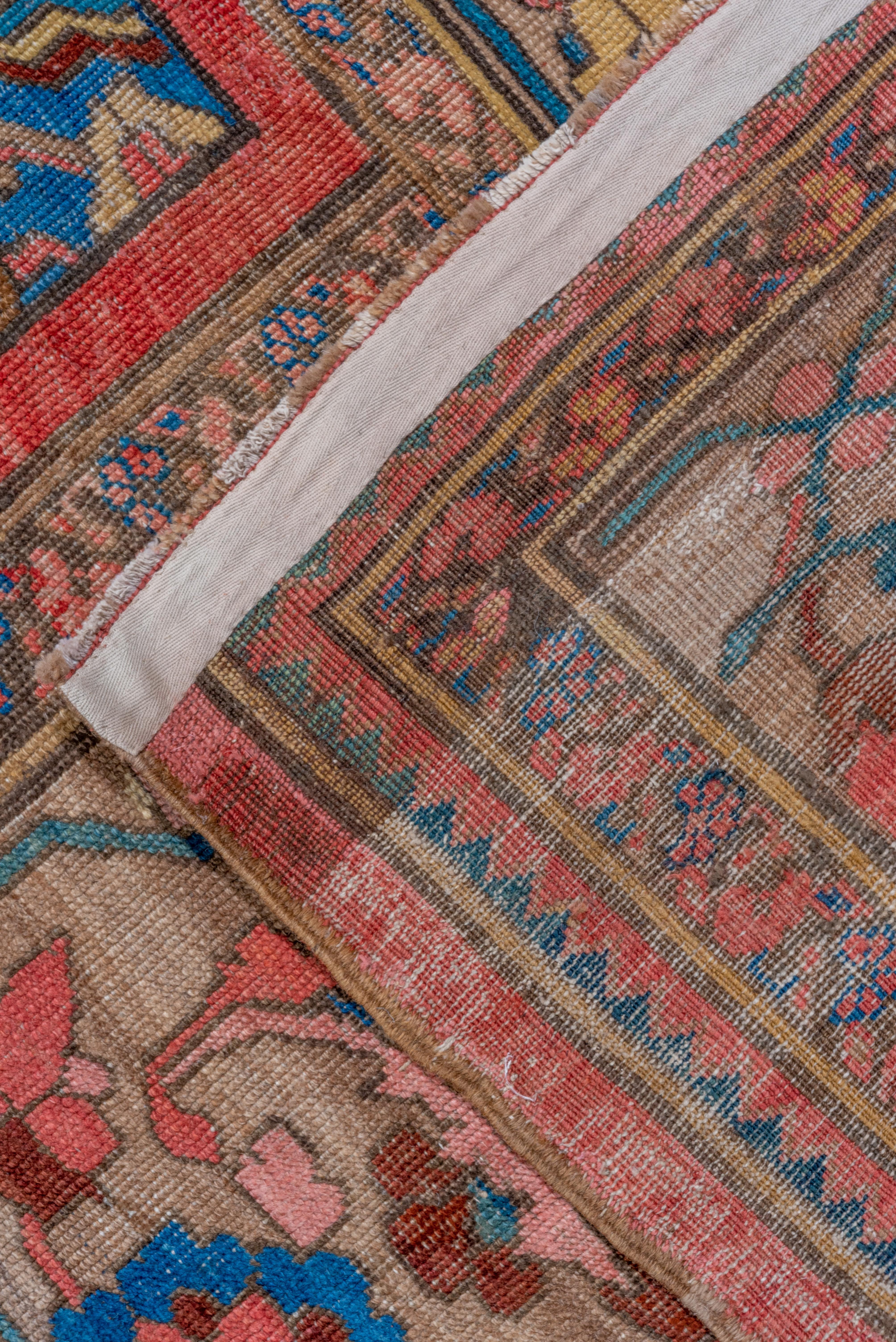 Outsanding Colorful Antique Persian Bakhshayesh Carpet, Late 19th Century For Sale 2
