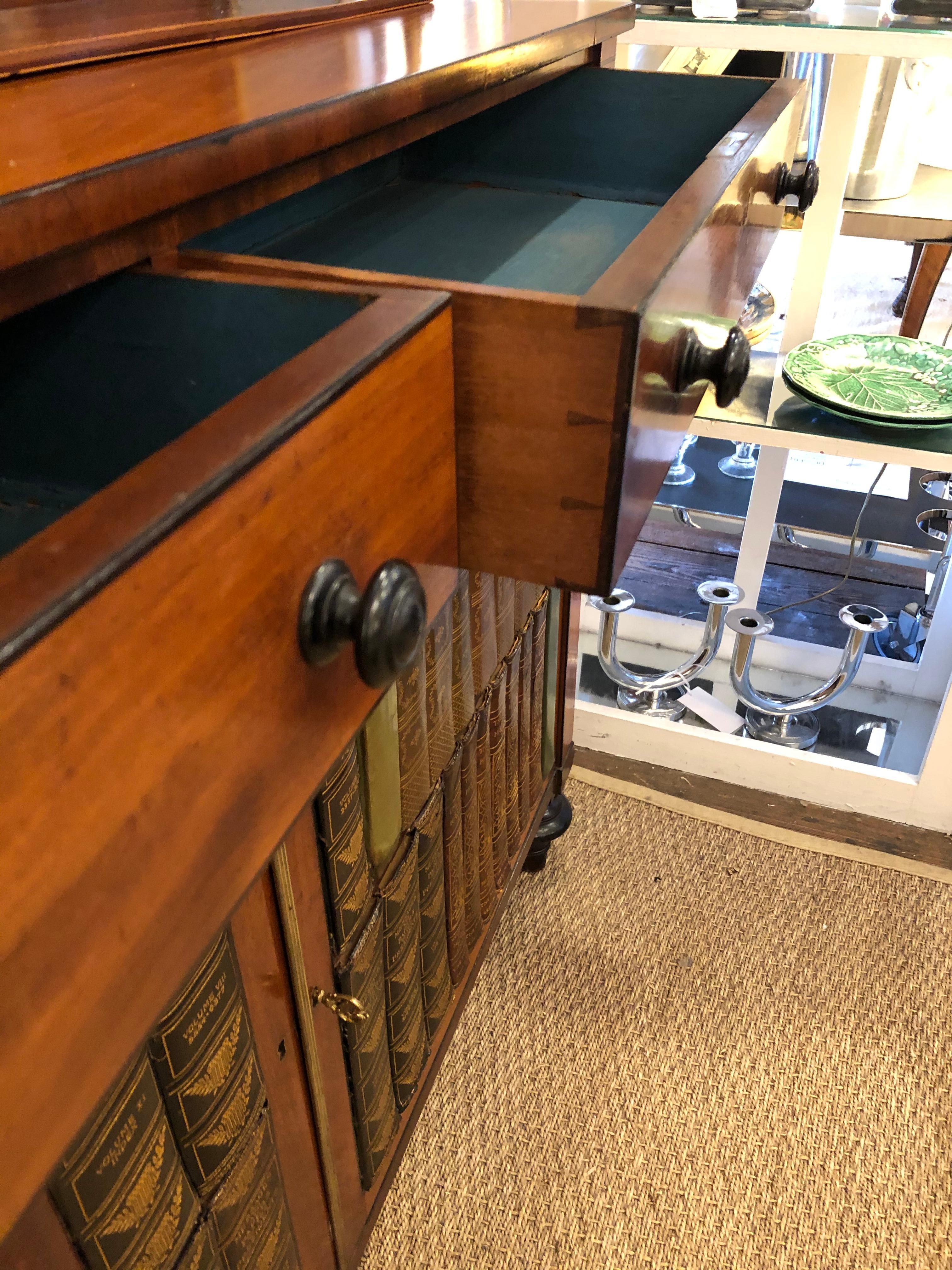 Outstanding Antique English Chiffonier Tromp l'oeil Bookshelf Cabinet 4