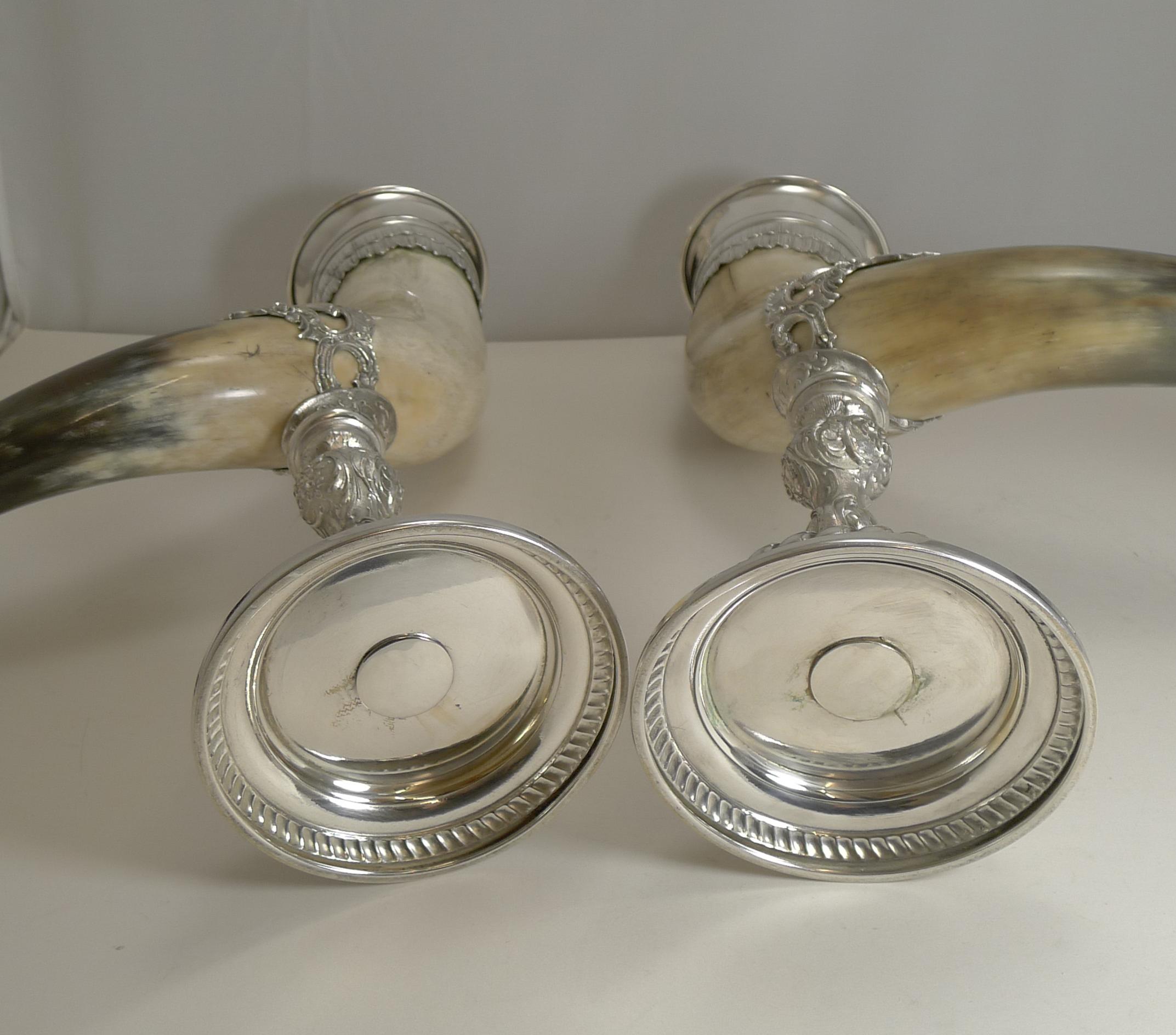 Outstanding Large Pair of Horn and Silver Plate Cornucopia, circa 1900 1