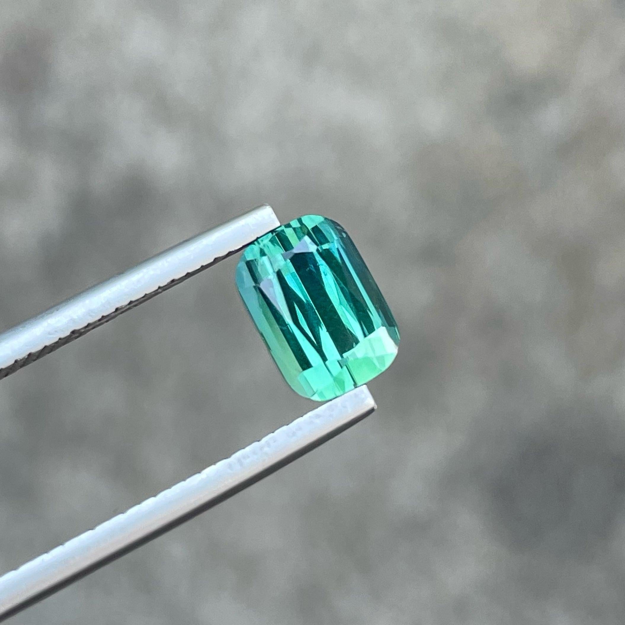 Moderne Remarquable pierre précieuse de tourmaline naturelle bicolore de 2,30 carats pour bijoux fins en vente