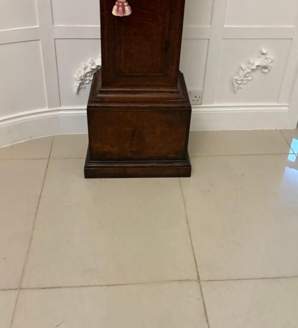 Outstanding Quality Antique George III Oak & Burr Oak Brass Face Longcase Clock For Sale 8