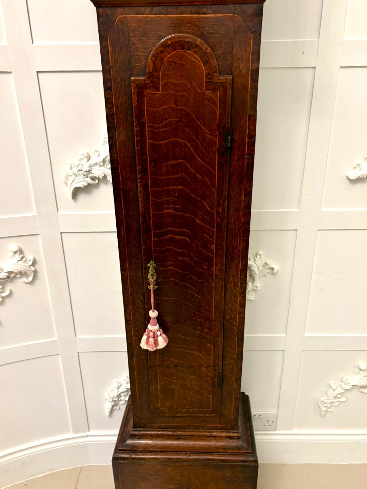 Outstanding Quality Antique George III Oak & Burr Oak Brass Face Longcase Clock For Sale 9