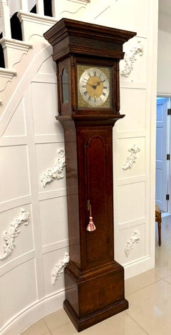 Outstanding Quality Antique George III Oak & Burr Oak Brass Face Longcase Clock
