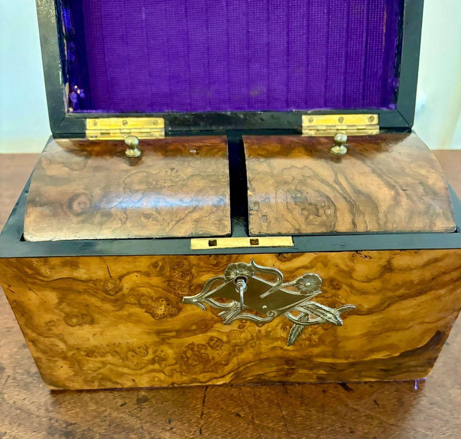 English Outstanding Quality Antique Victorian Burr Walnut Tea Caddy For Sale