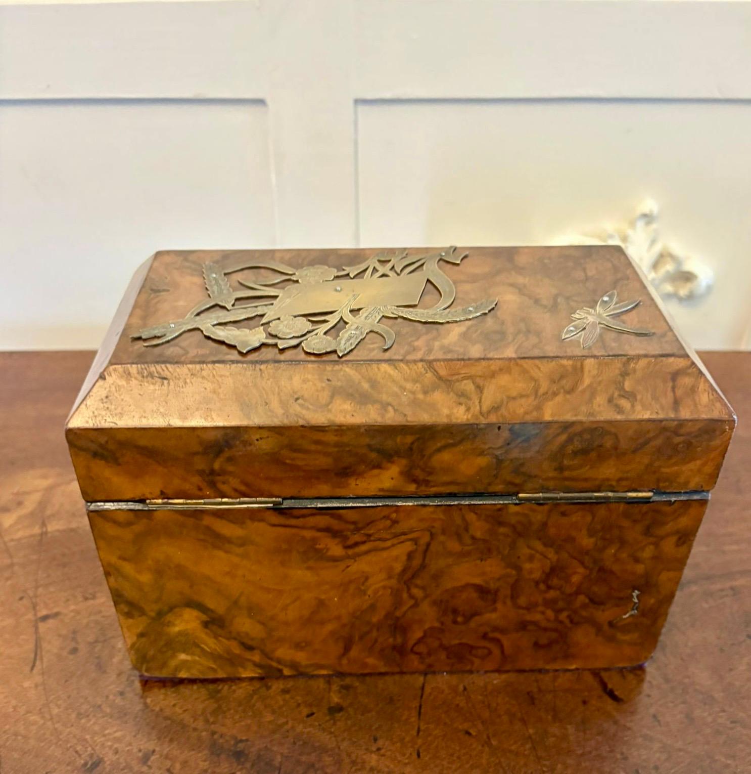19th Century Outstanding Quality Antique Victorian Burr Walnut Tea Caddy For Sale