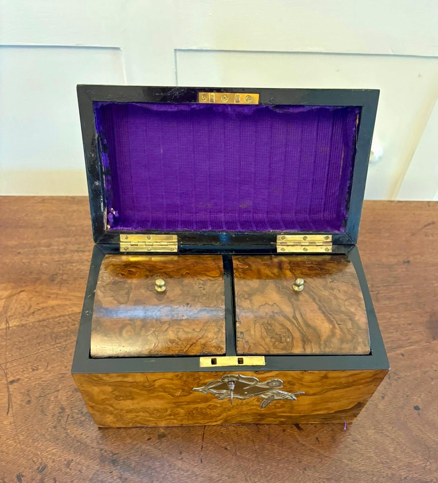 Outstanding Quality Antique Victorian Burr Walnut Tea Caddy For Sale 1