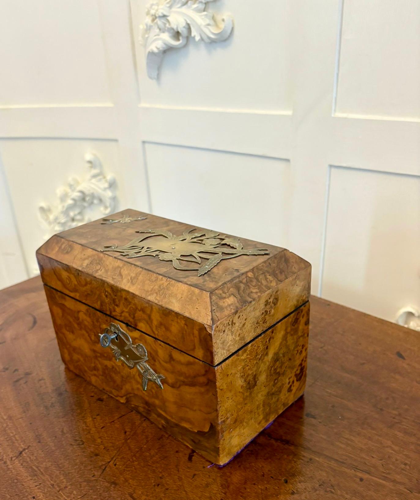 Outstanding Quality Antique Victorian Burr Walnut Tea Caddy For Sale 3