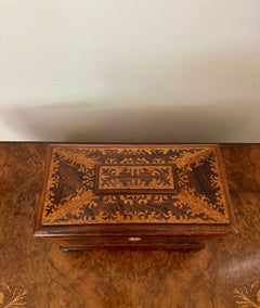 Outstanding quality antique Victorian rosewood and burr maple tea caddy