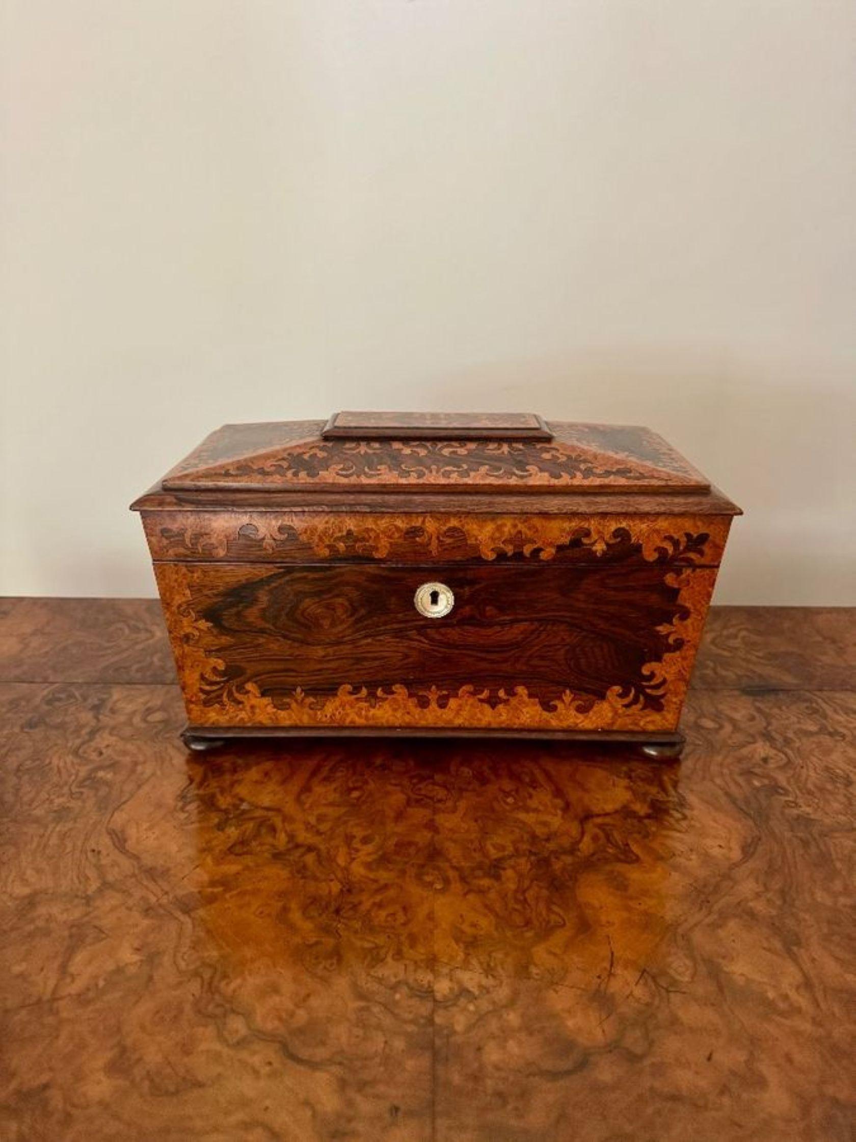 Inlay Outstanding quality antique Victorian rosewood and burr maple tea caddy For Sale