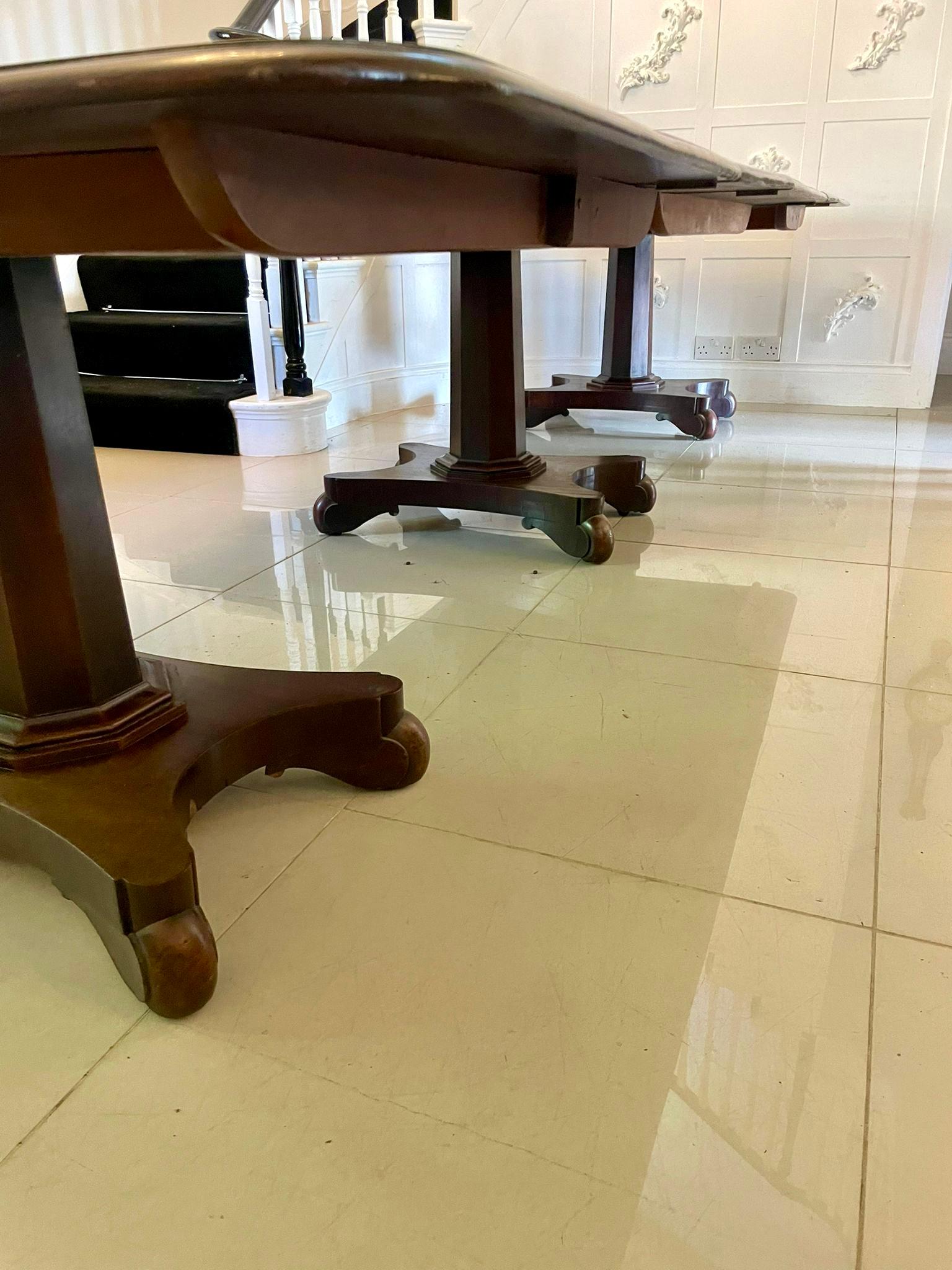 Acajou Table de salle à manger à 3 pieds en acajou, 16 places, de qualité exceptionnelle, ancienne William IV en vente