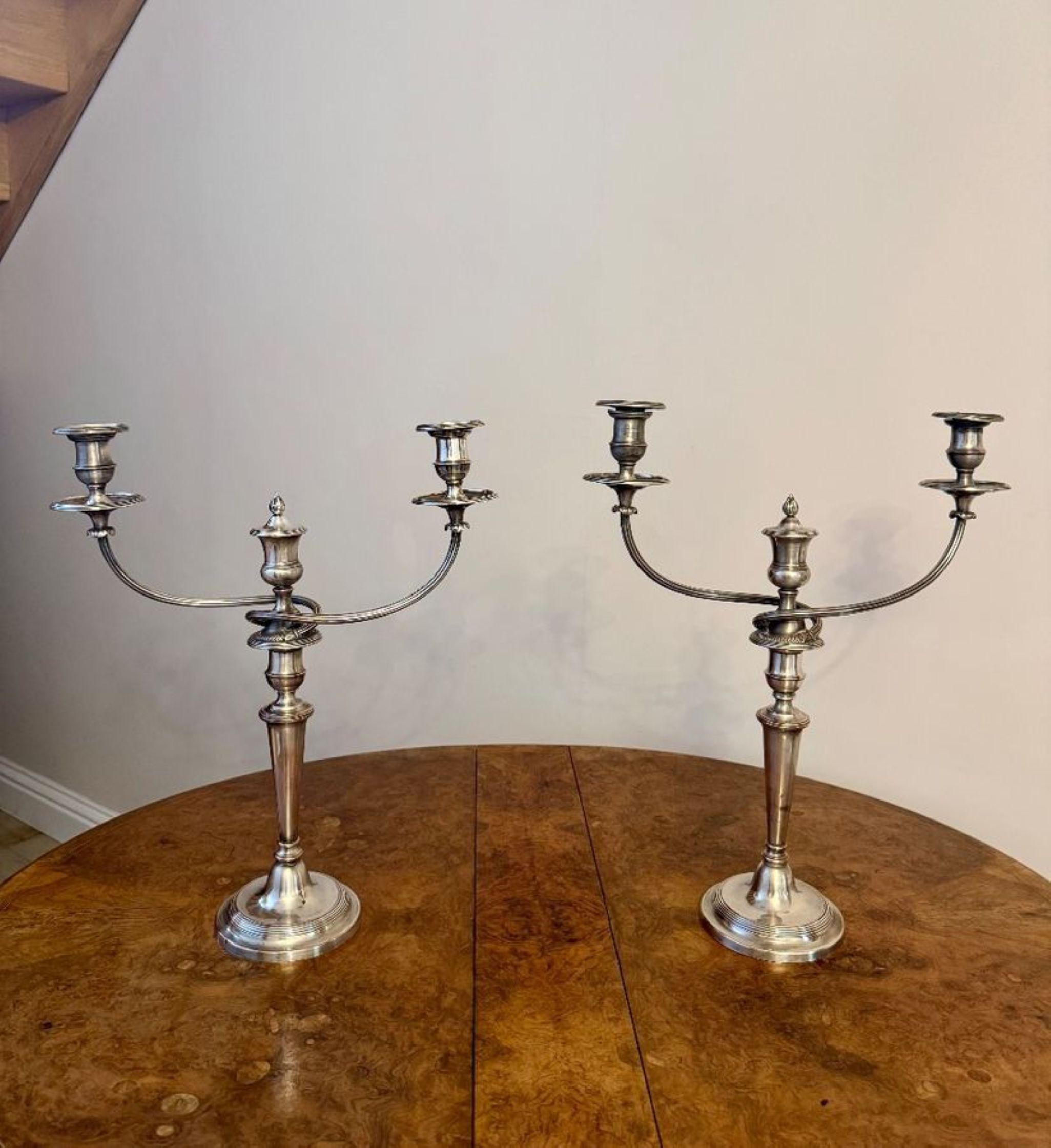 Coppia di candelabri antichi vittoriani placcati in argento di eccezionale qualità in vendita 1