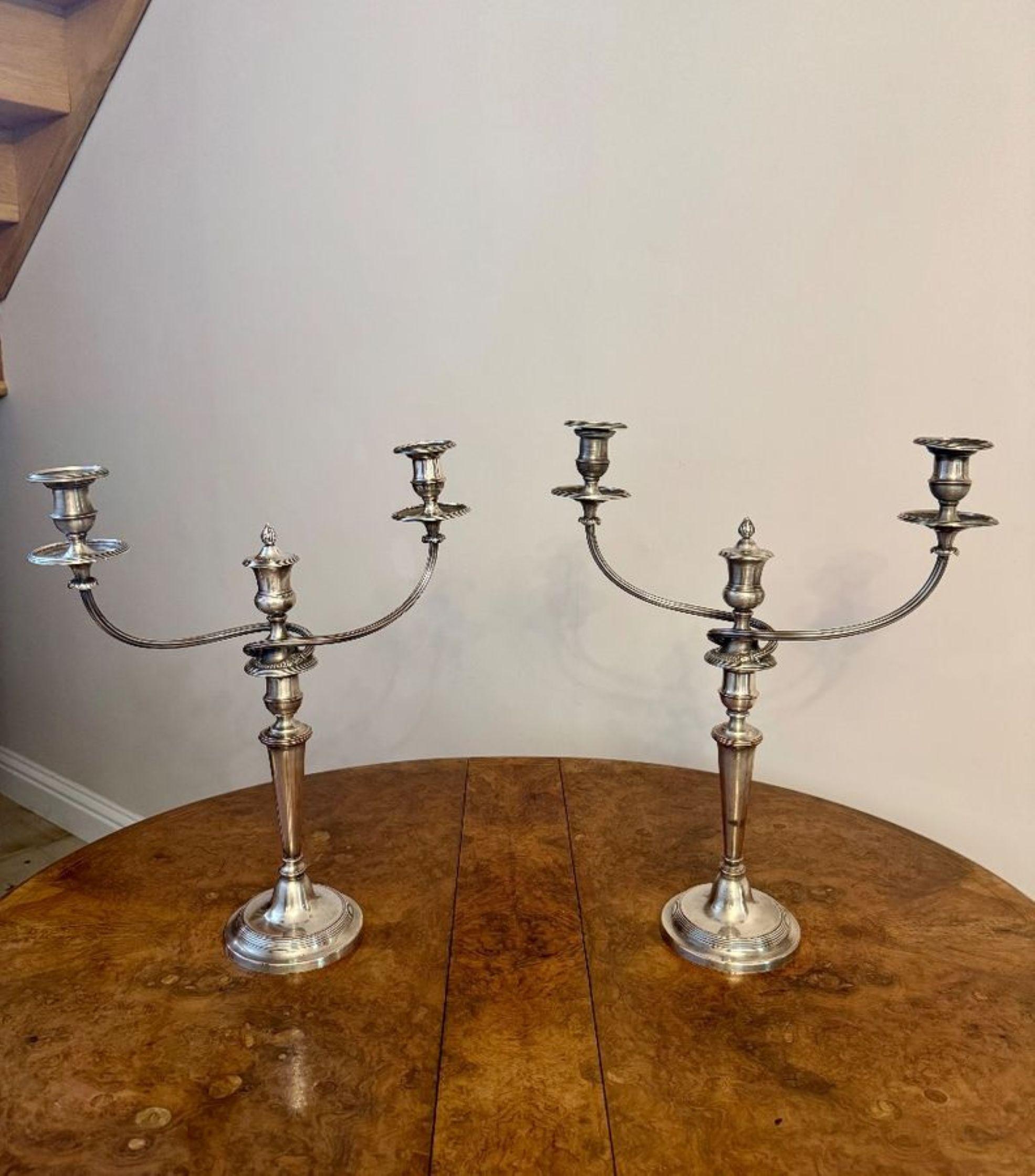Coppia di candelabri antichi vittoriani placcati in argento di eccezionale qualità