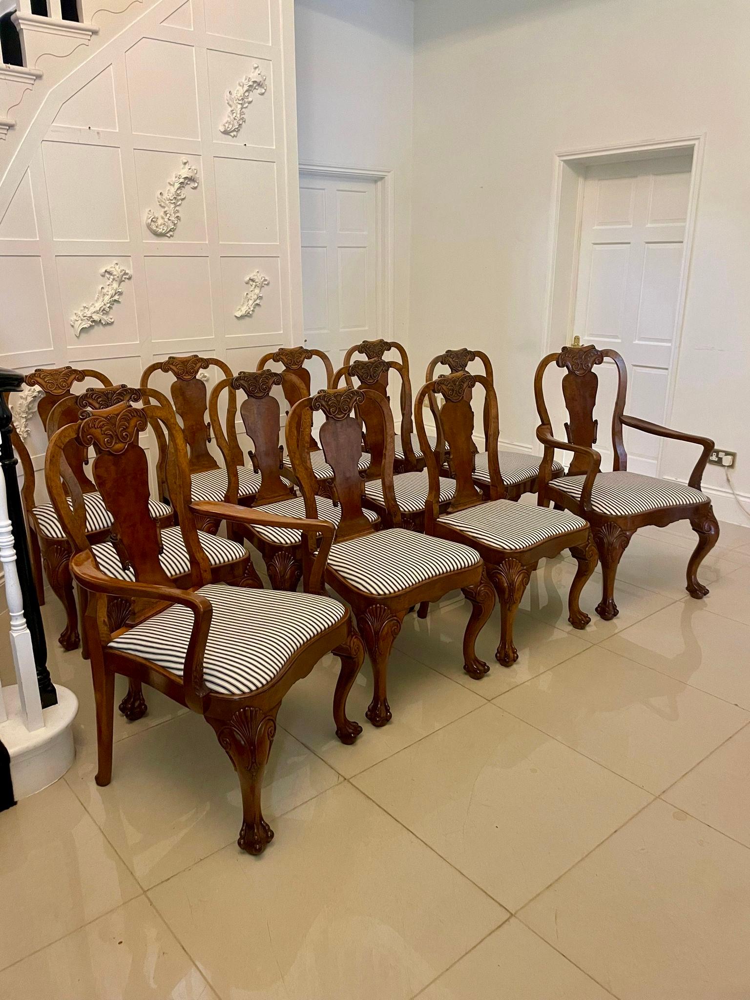 Ensemble de 12 chaises de salle à manger en ronce de noyer de l'époque victorienne, comprenant deux chaises coudées et dix chaises de salle à manger en ronce de noyer de l'époque victorienne.  les chaises simples ont une coquille en noyer sculpté