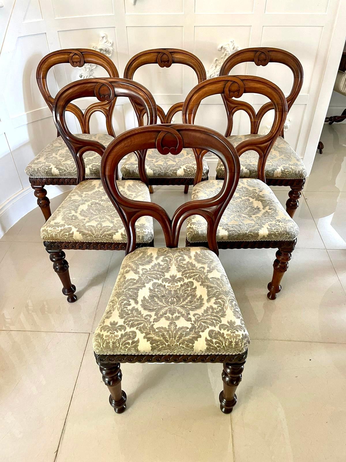 Outstanding set of 6 Victorian antique mahogany Scottish balloon back dining chairs having lovely unusual backs with shaped reeded centres. They have turned legs to the front and out-swept back legs. They have fabulous quality carvings around the