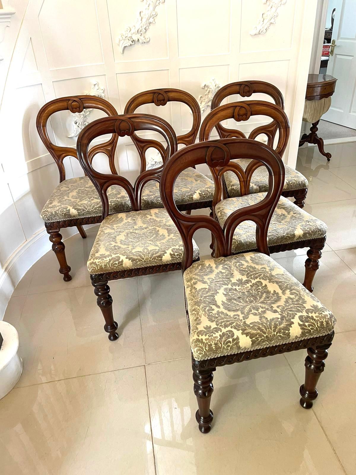 antique mahogany chairs