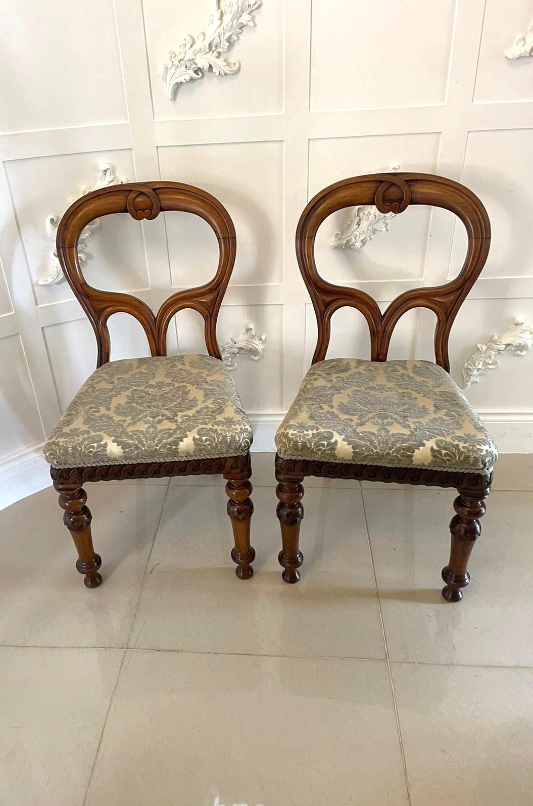 Outstanding Set of 6 Antique Mahogany Scottish Balloon Back Dining Chairs In Good Condition In Suffolk, GB