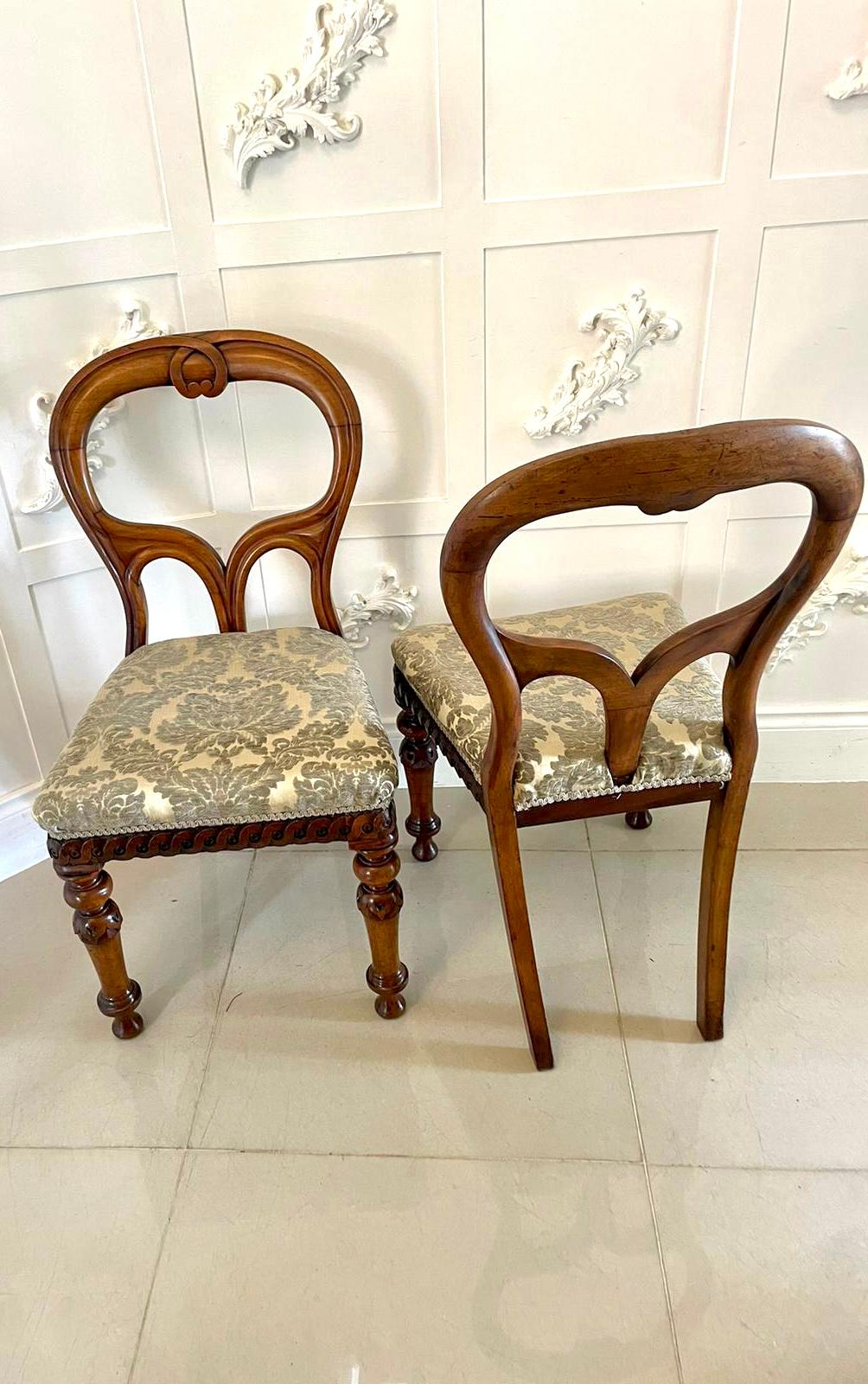 Outstanding Set of 6 Antique Mahogany Scottish Balloon Back Dining Chairs