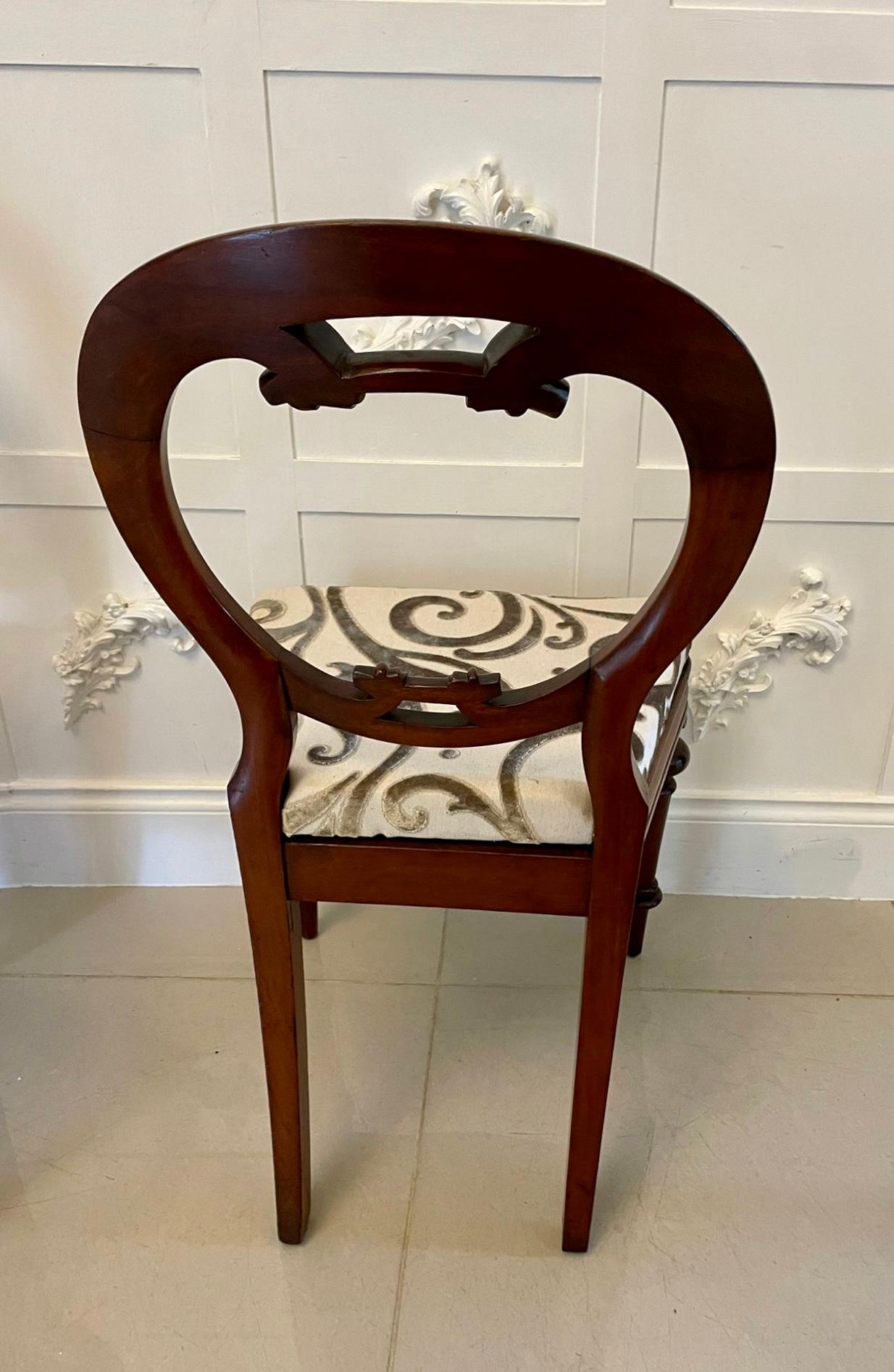 Outstanding Set of 6 Victorian Antique Mahogany Balloon Back Dining Chairs In Good Condition For Sale In Suffolk, GB