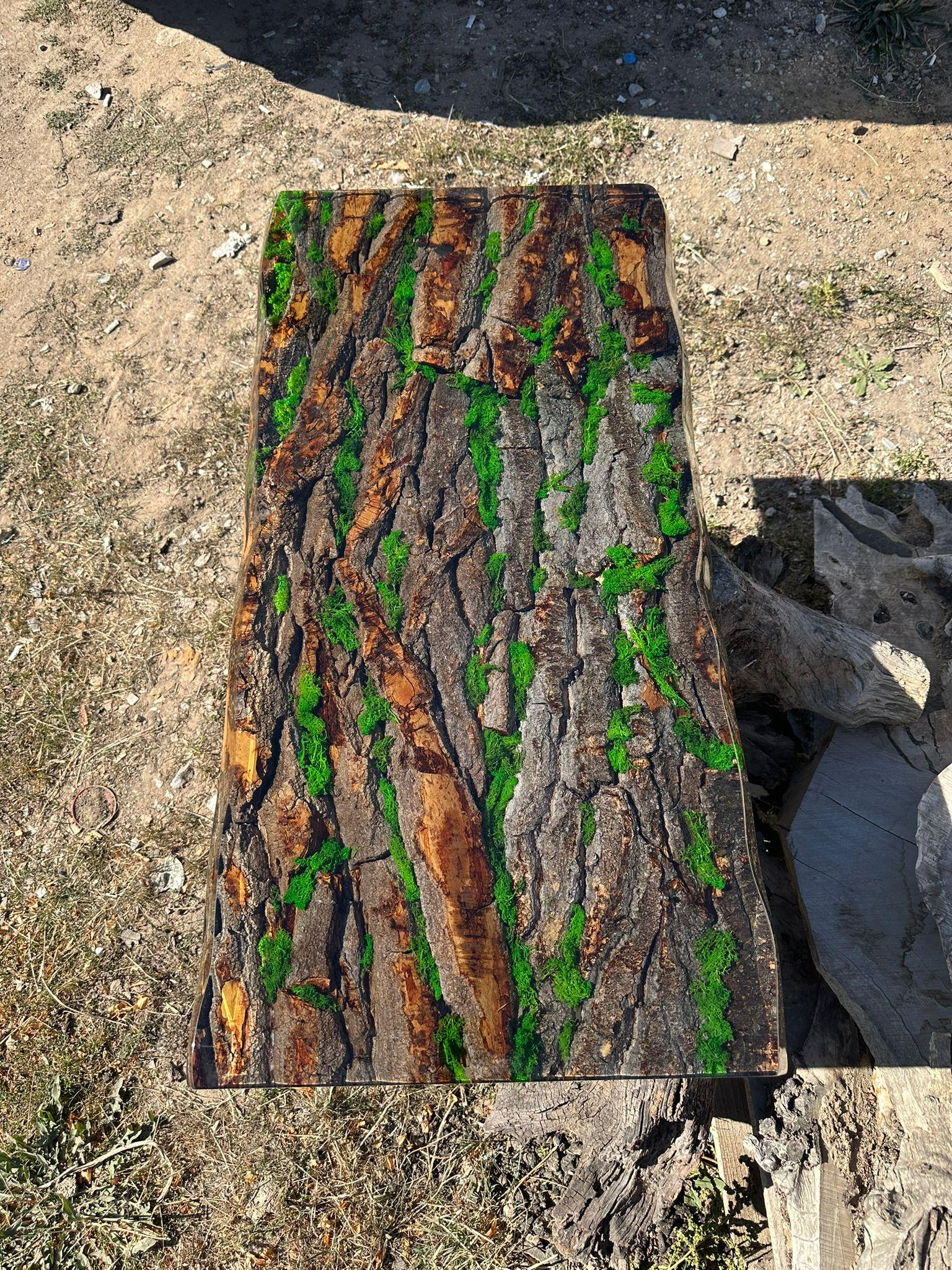 Tree Bark & Moss Clear Epoxy Resin Dining Table 

This table is made of poplar tree's bark. The grains and texture of the bark describe what a poplar bark looks like.
It can be used as a dining table or as a conference table. Suitable for indoor