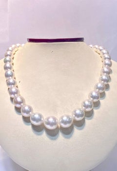 Oval White South Sea Pearl Australian 35pcs