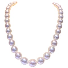 Oval White South Sea Pearl Australian 35pcs