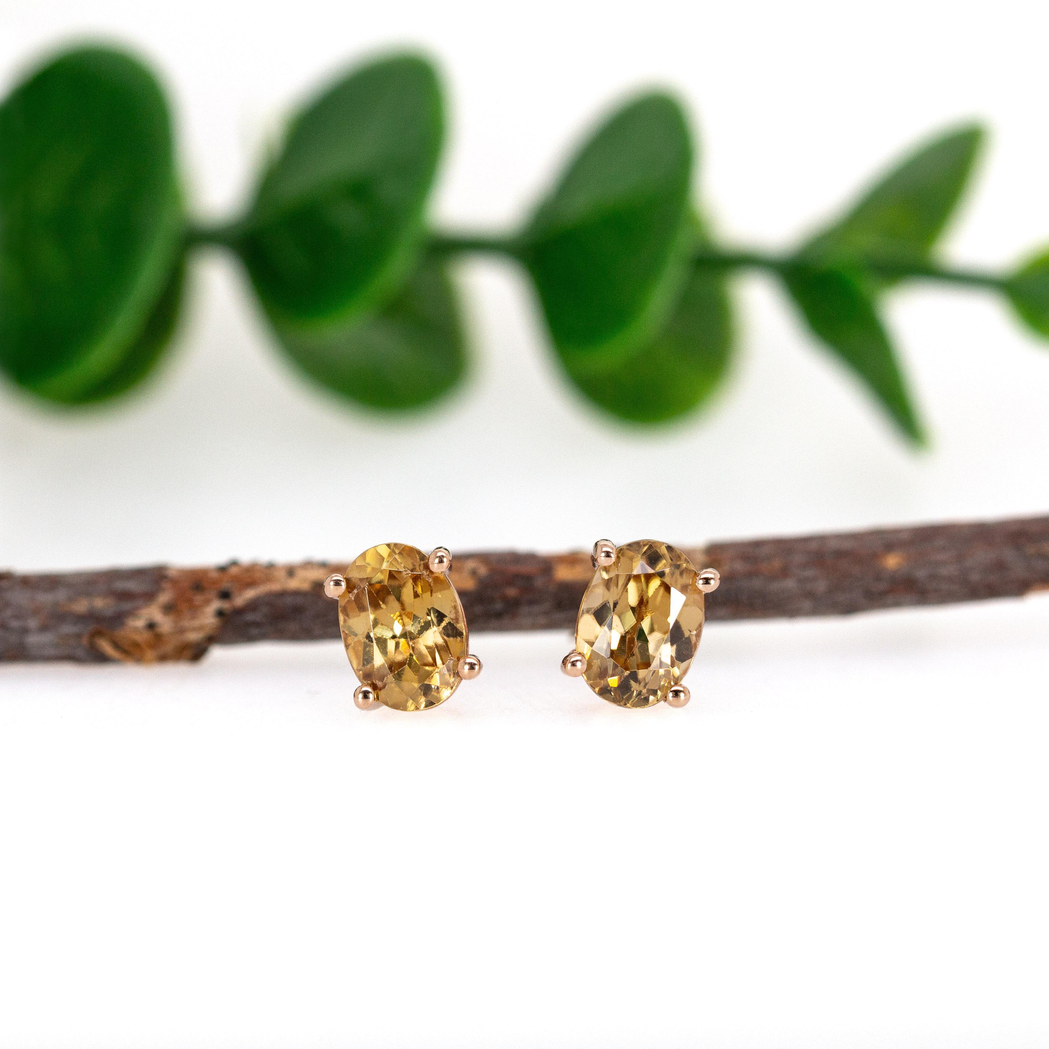 Ovale 7x5mm - Champagner Zirkon Solitär Ohrstecker in massivem 14K Gold im Zustand „Neu“ im Angebot in Columbus, OH