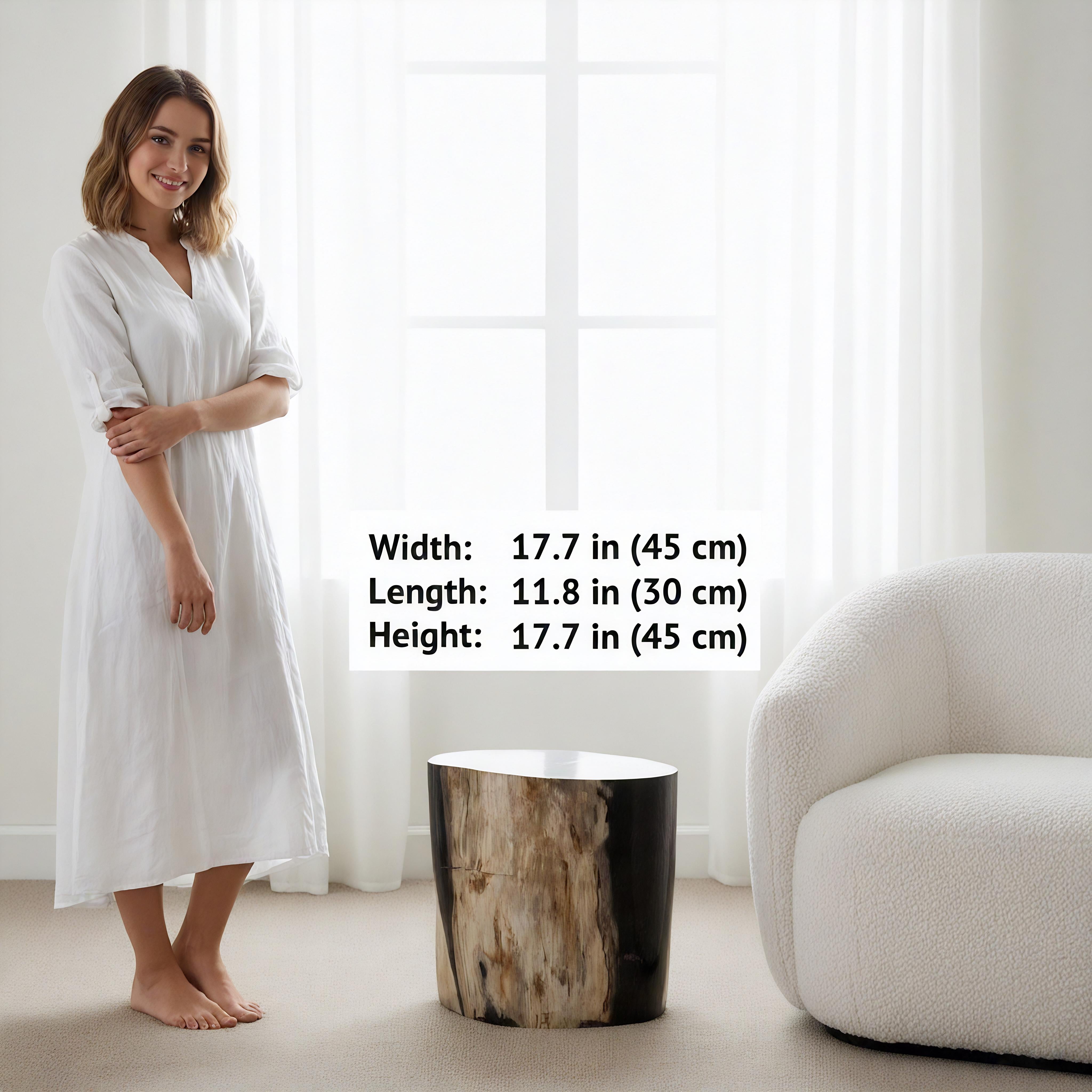 Table d'appoint ovale rare, vieille de 20 millions d'années en bois pétrifié en vente 2