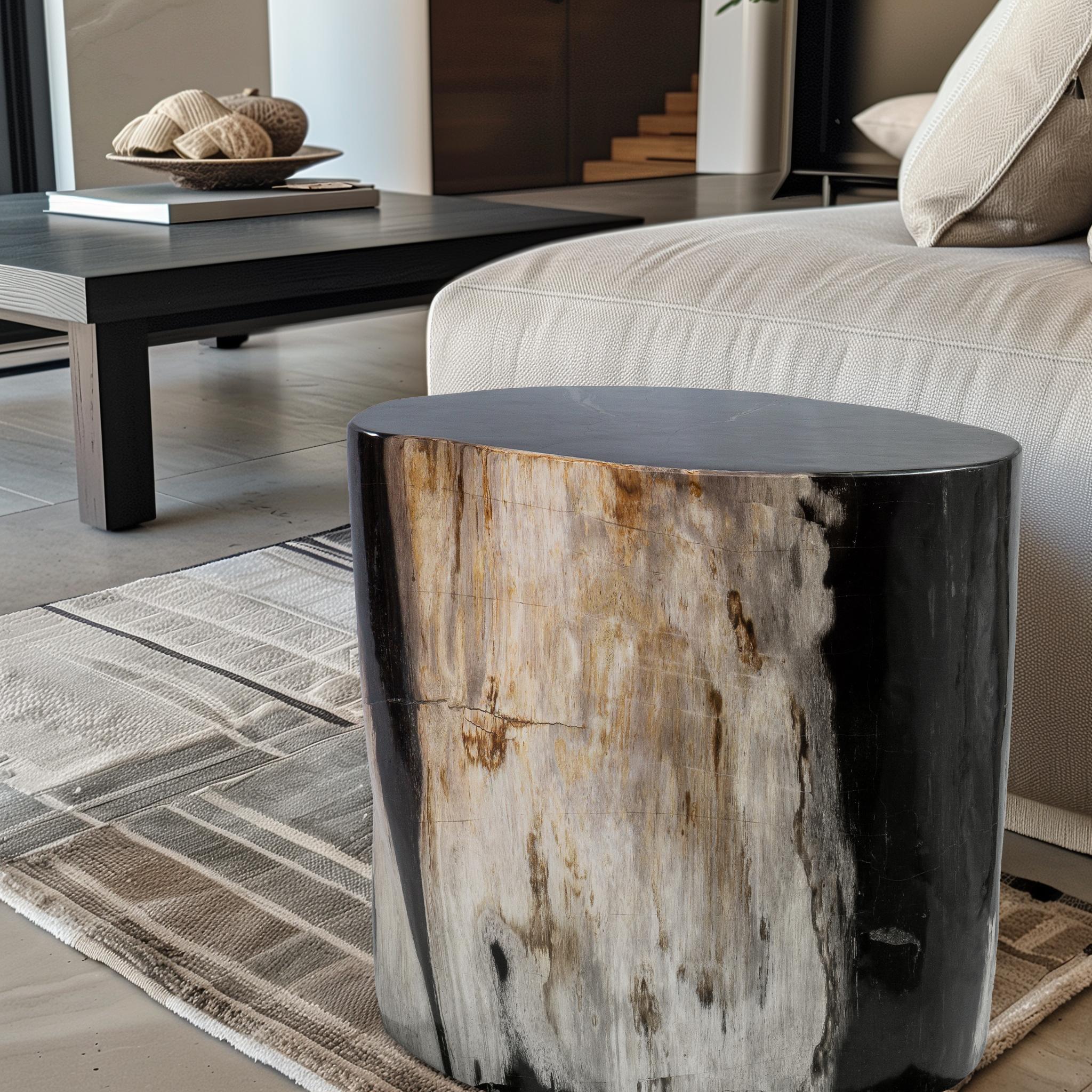 Cette table d'appoint en bois p�étrifié se distingue par sa forme allongée et sa finition exceptionnellement brillante, qui fait ressortir les motifs complexes du grain fossilisé et les riches couleurs naturelles. Les bruns profonds et les tons