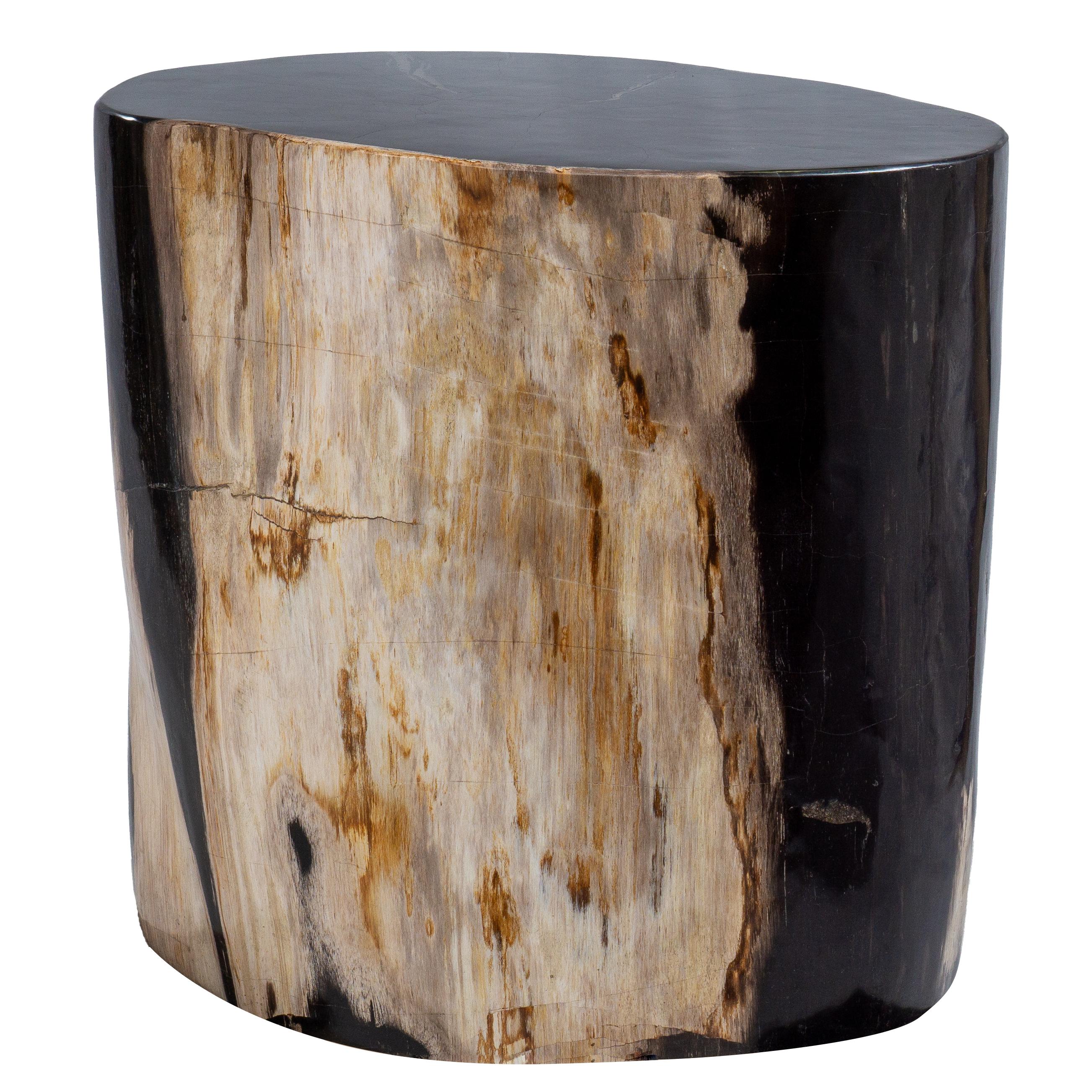 Organique Table d'appoint ovale rare, vieille de 20 millions d'années en bois pétrifié en vente