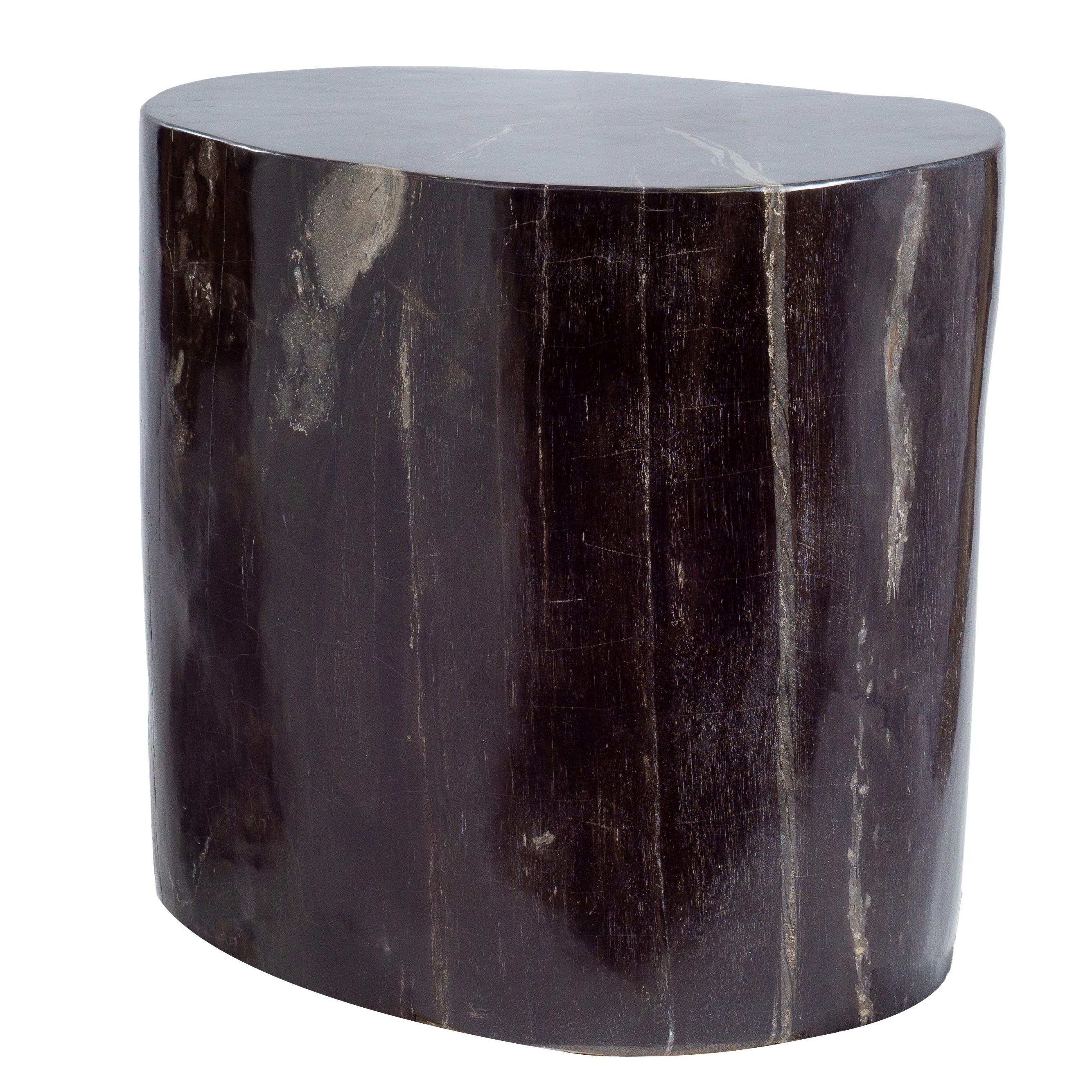 Poli Table d'appoint ovale rare, vieille de 20 millions d'années en bois pétrifié en vente