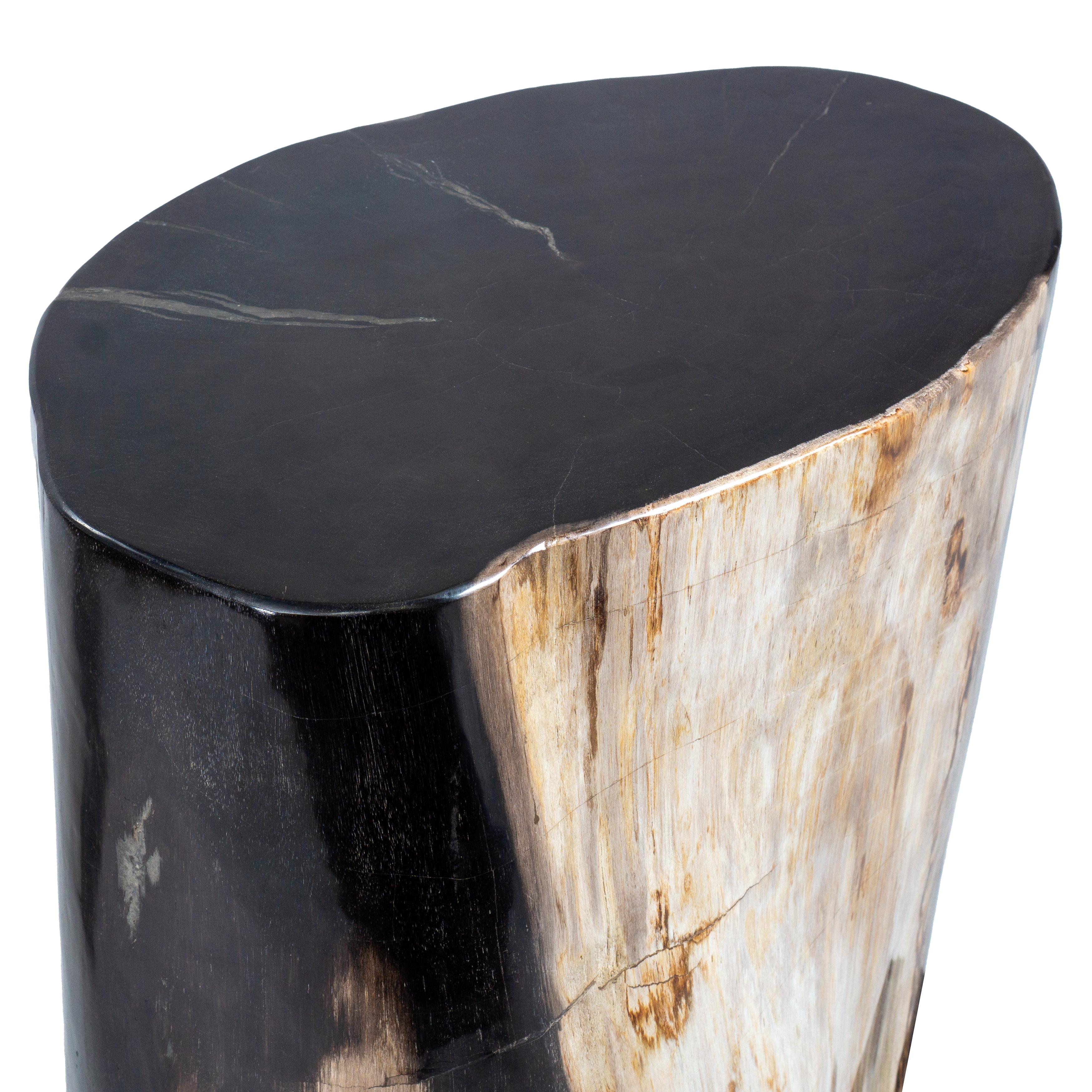 Table d'appoint ovale rare, vieille de 20 millions d'années en bois pétrifié Excellent état - En vente à Feasterville Trevose, PA