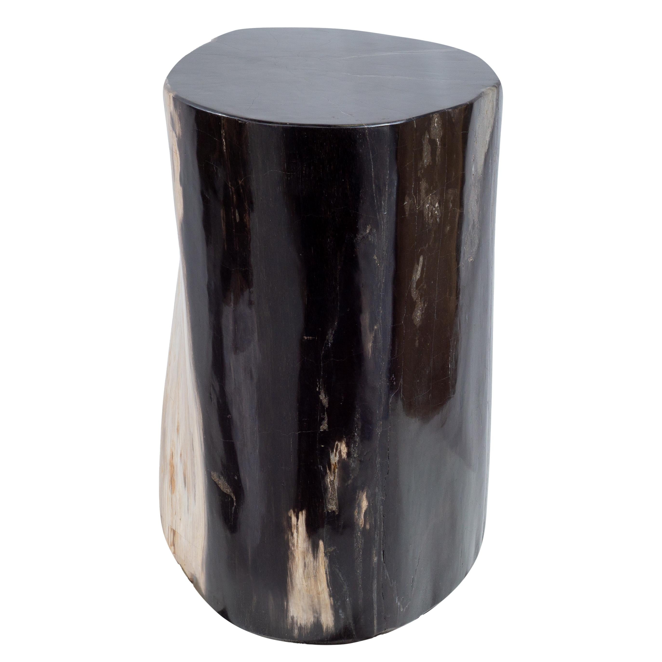 XXIe siècle et contemporain Table d'appoint ovale rare, vieille de 20 millions d'années en bois pétrifié en vente