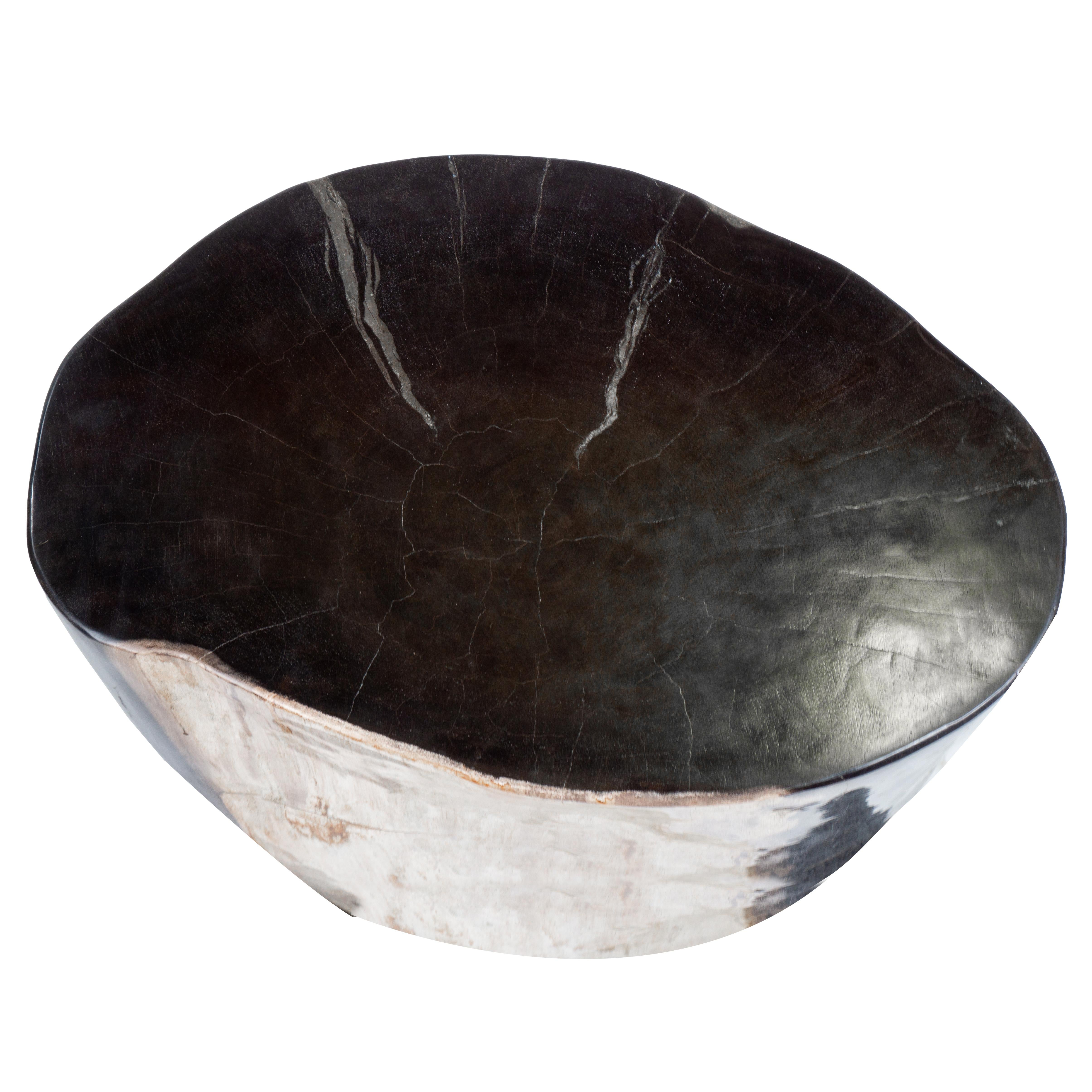 Bois fossilisé Table d'appoint ovale rare, vieille de 20 millions d'années en bois pétrifié en vente